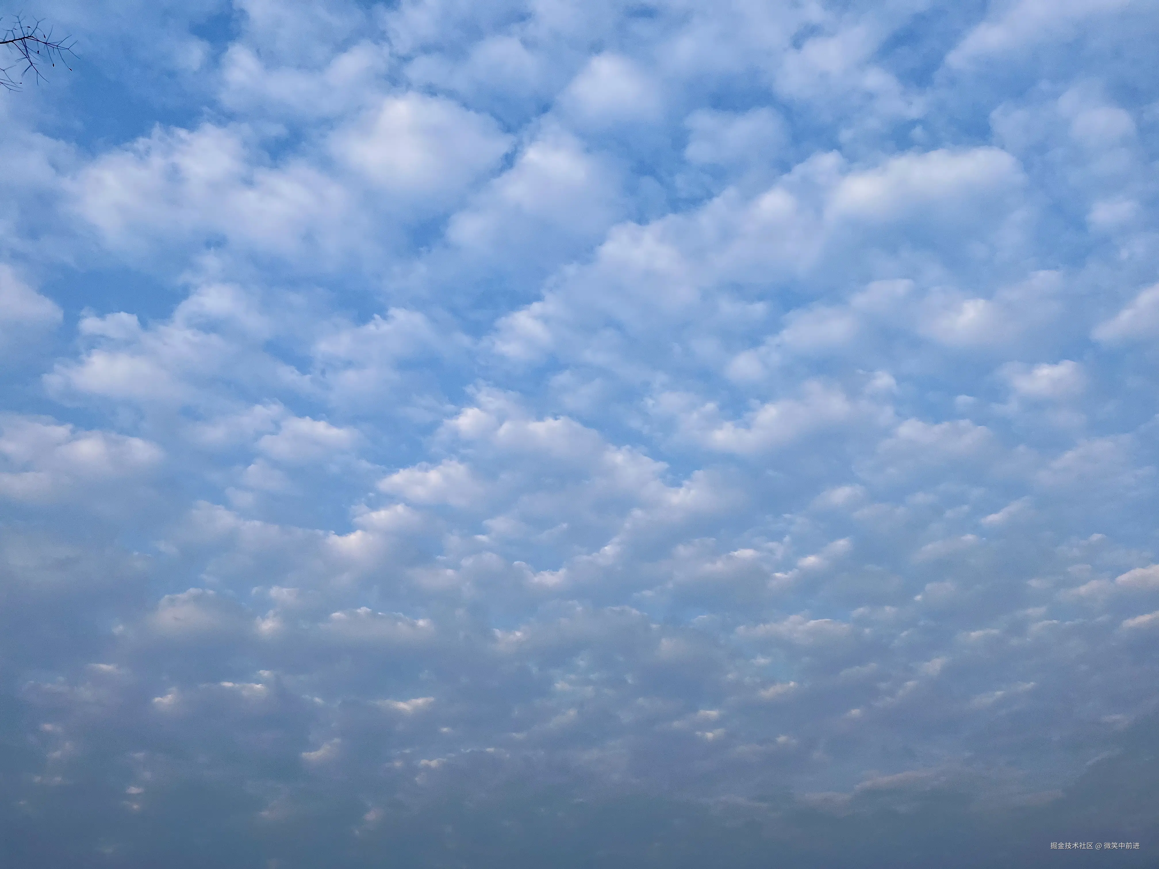 微笑中前进于2025-01-13 12:24发布的图片