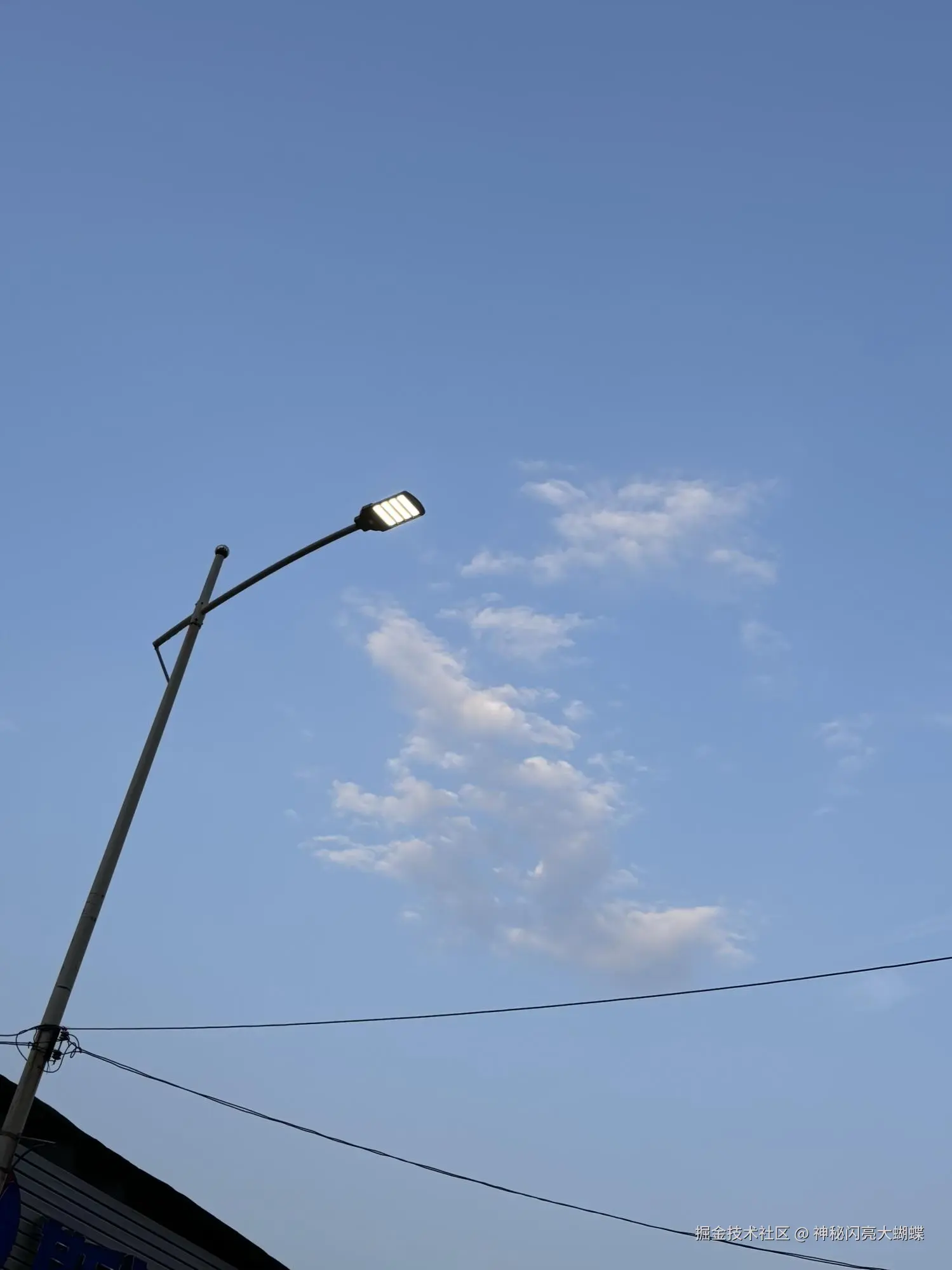 神秘闪亮大蝴蝶于2026-04-23 18:10发布的图片