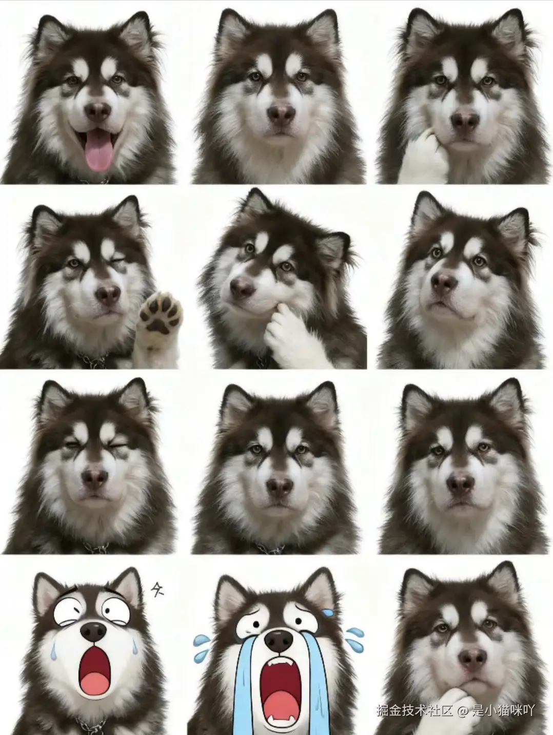 是小猫咪吖于2025-09-16 12:36发布的图片