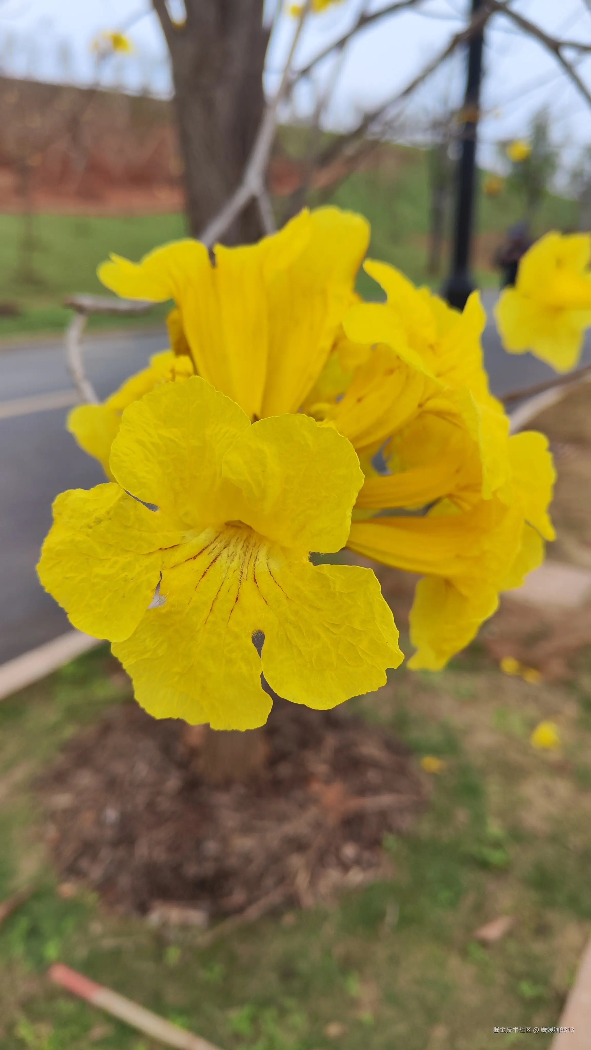 媛媛啊9813于2025-03-09 01:49发布的图片