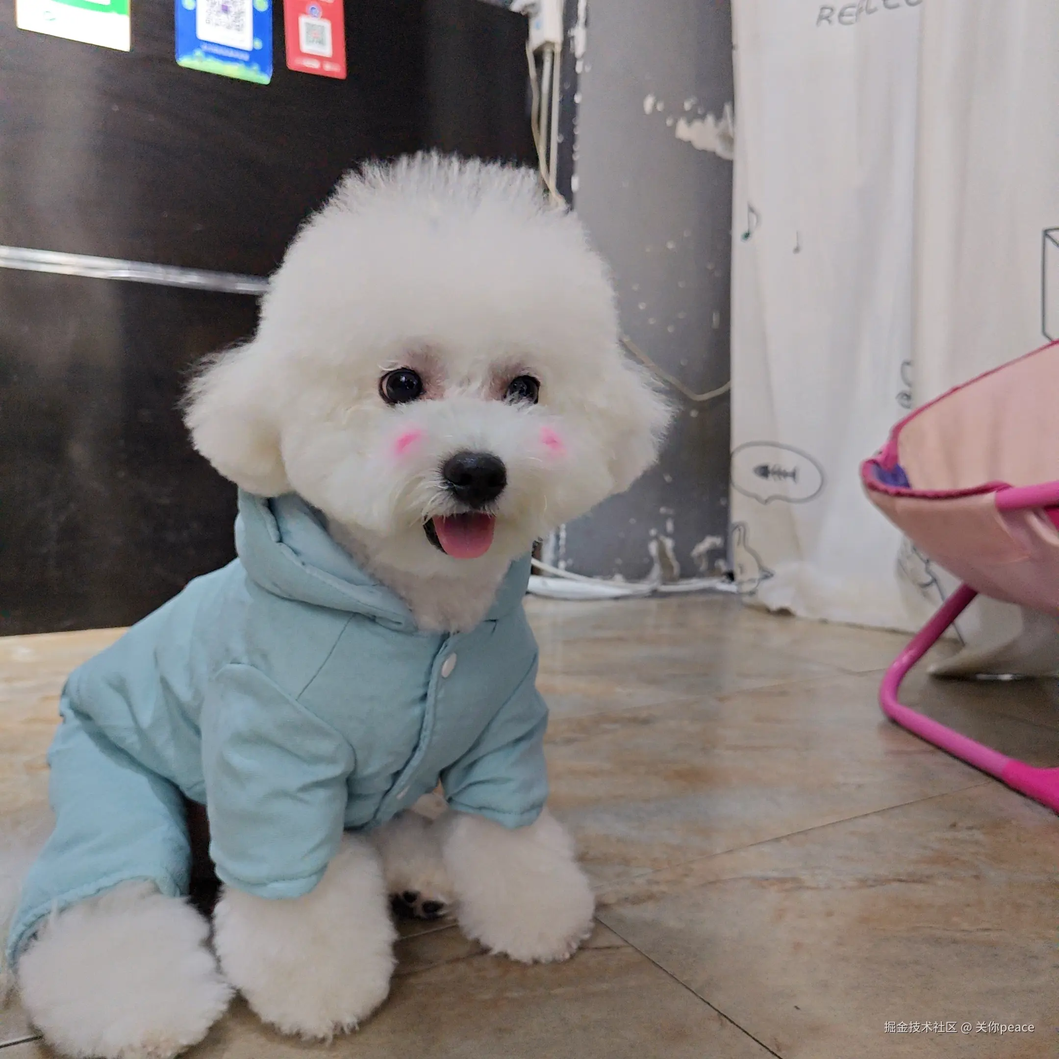 关你peace于2024-11-18 09:18发布的图片