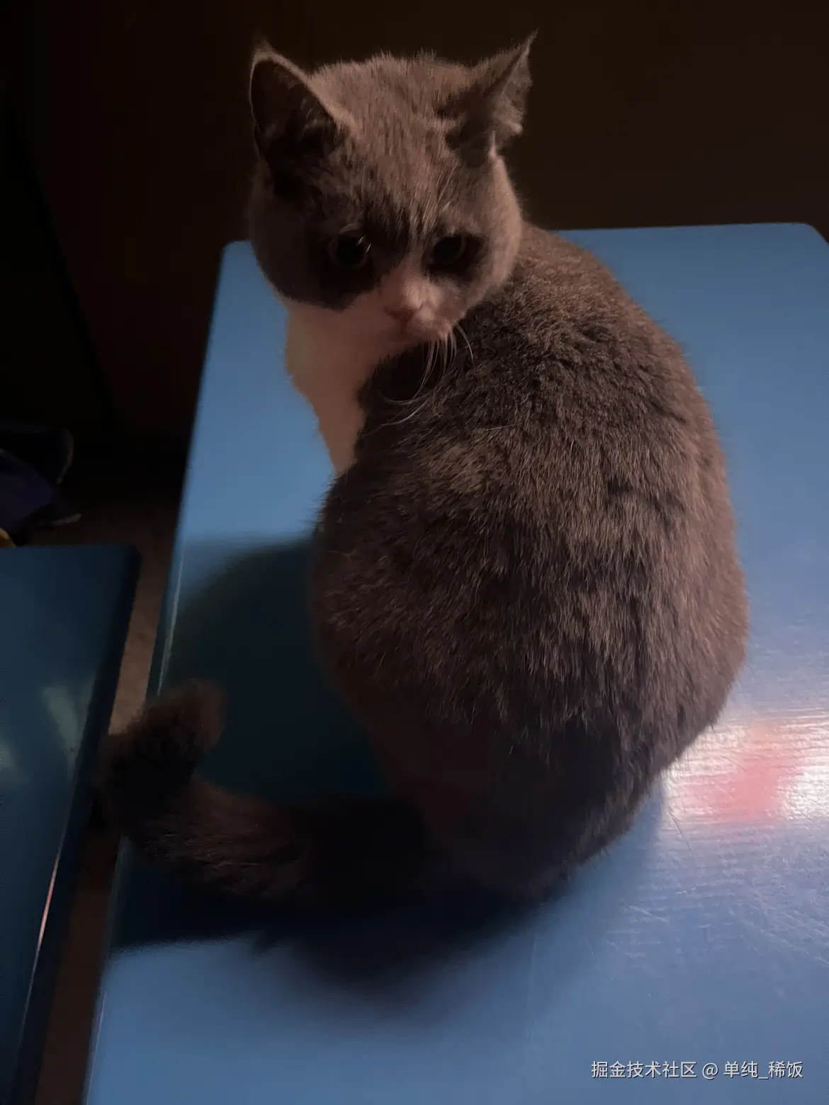 单纯_稀饭于2025-01-21 08:04发布的图片