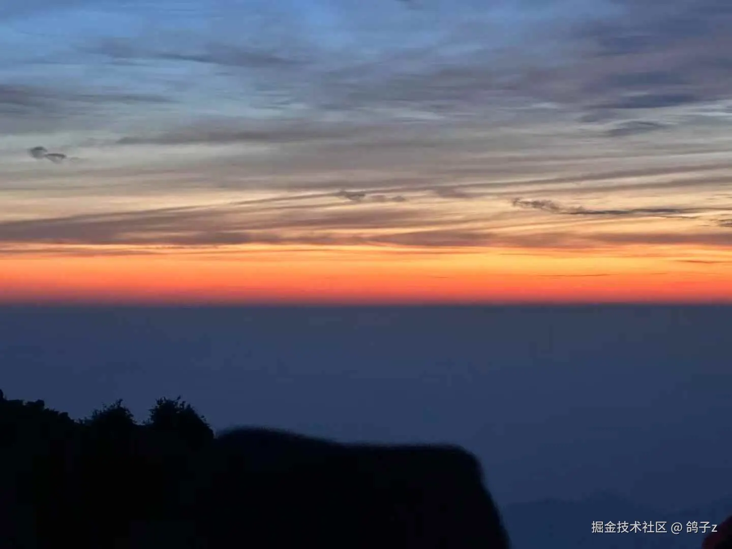 鸽子z于2025-06-04 06:13发布的图片