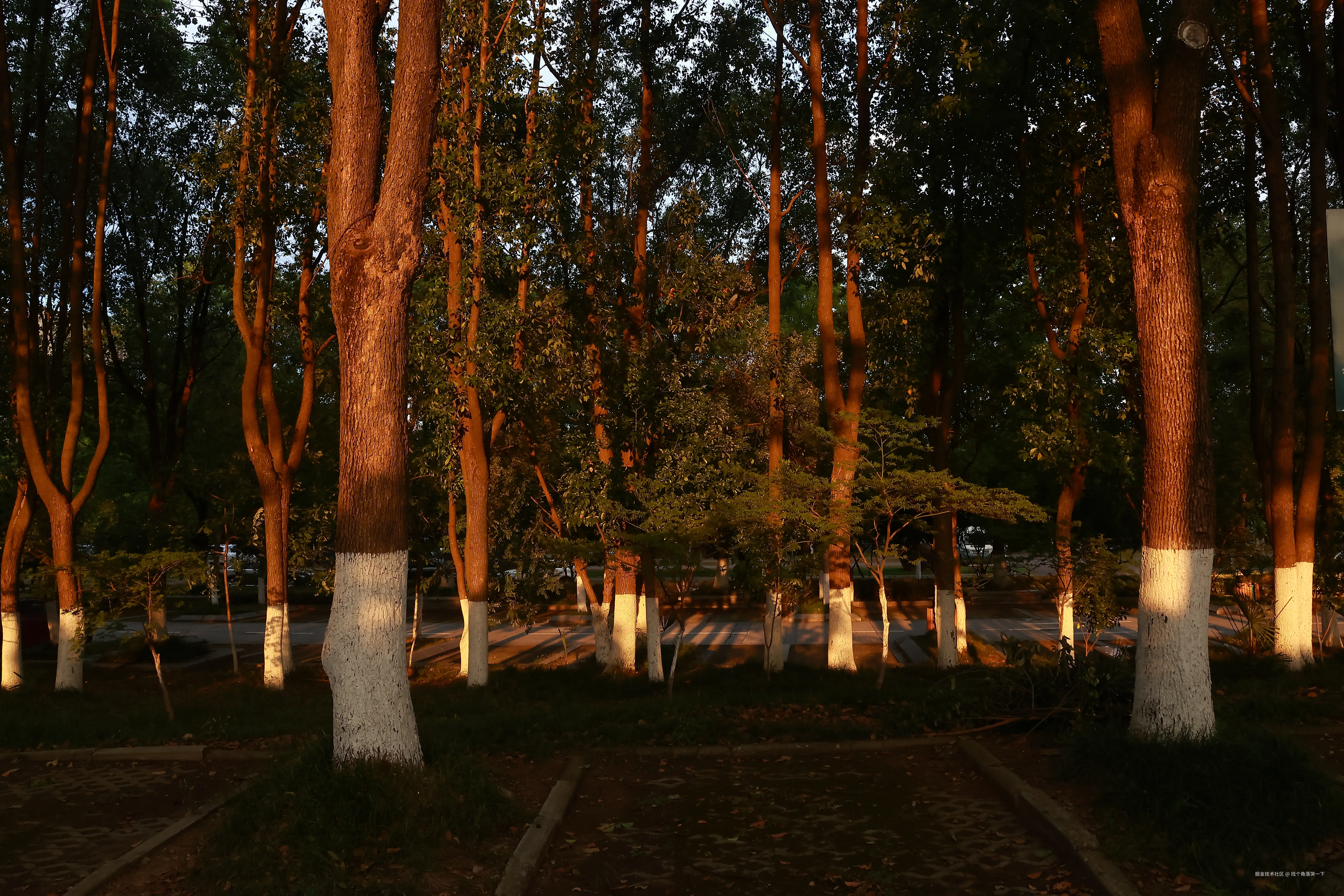 找个角落哭一下于2025-07-28 13:51发布的图片