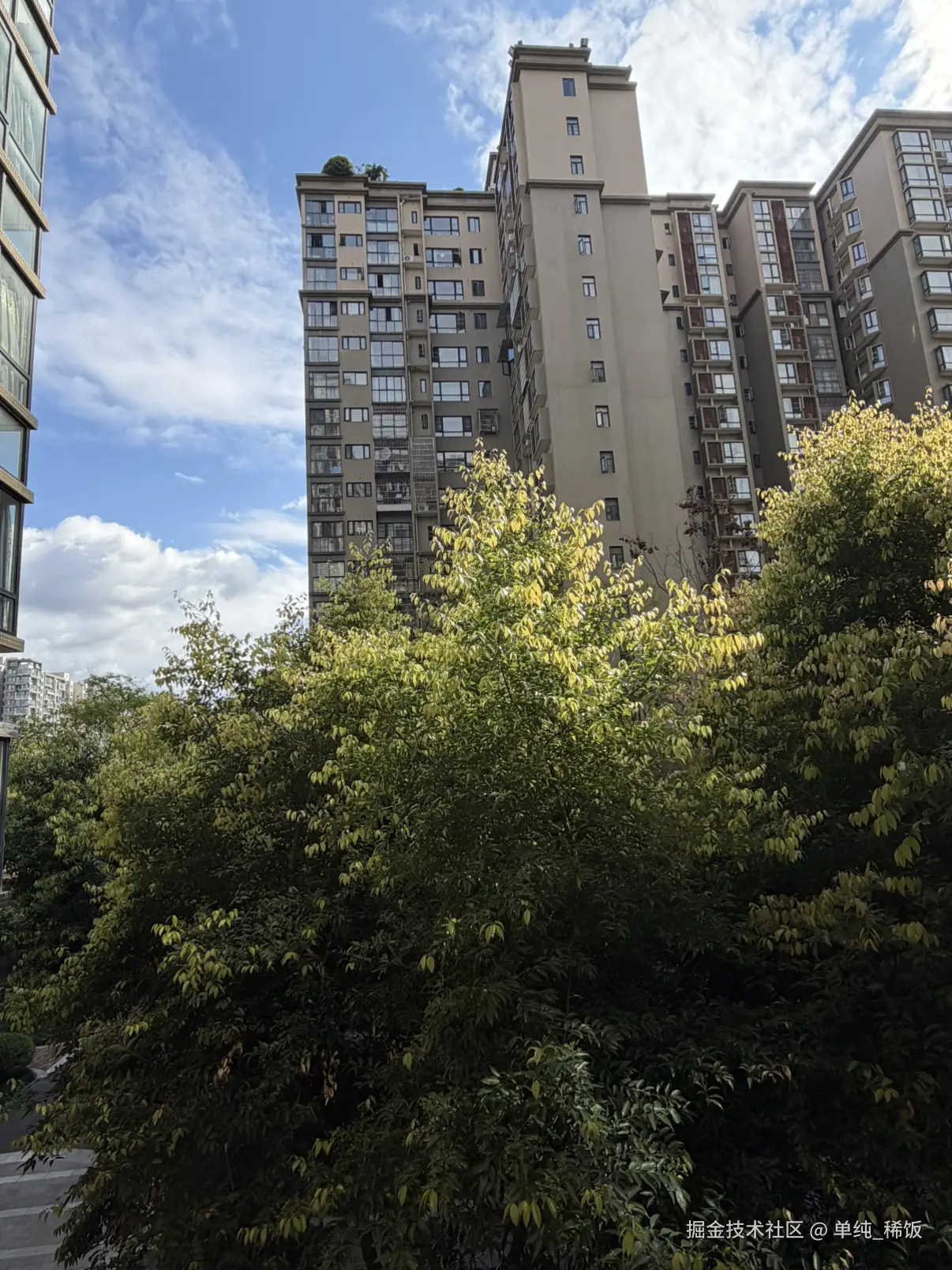 单纯_稀饭于2026-03-17 16:12发布的图片