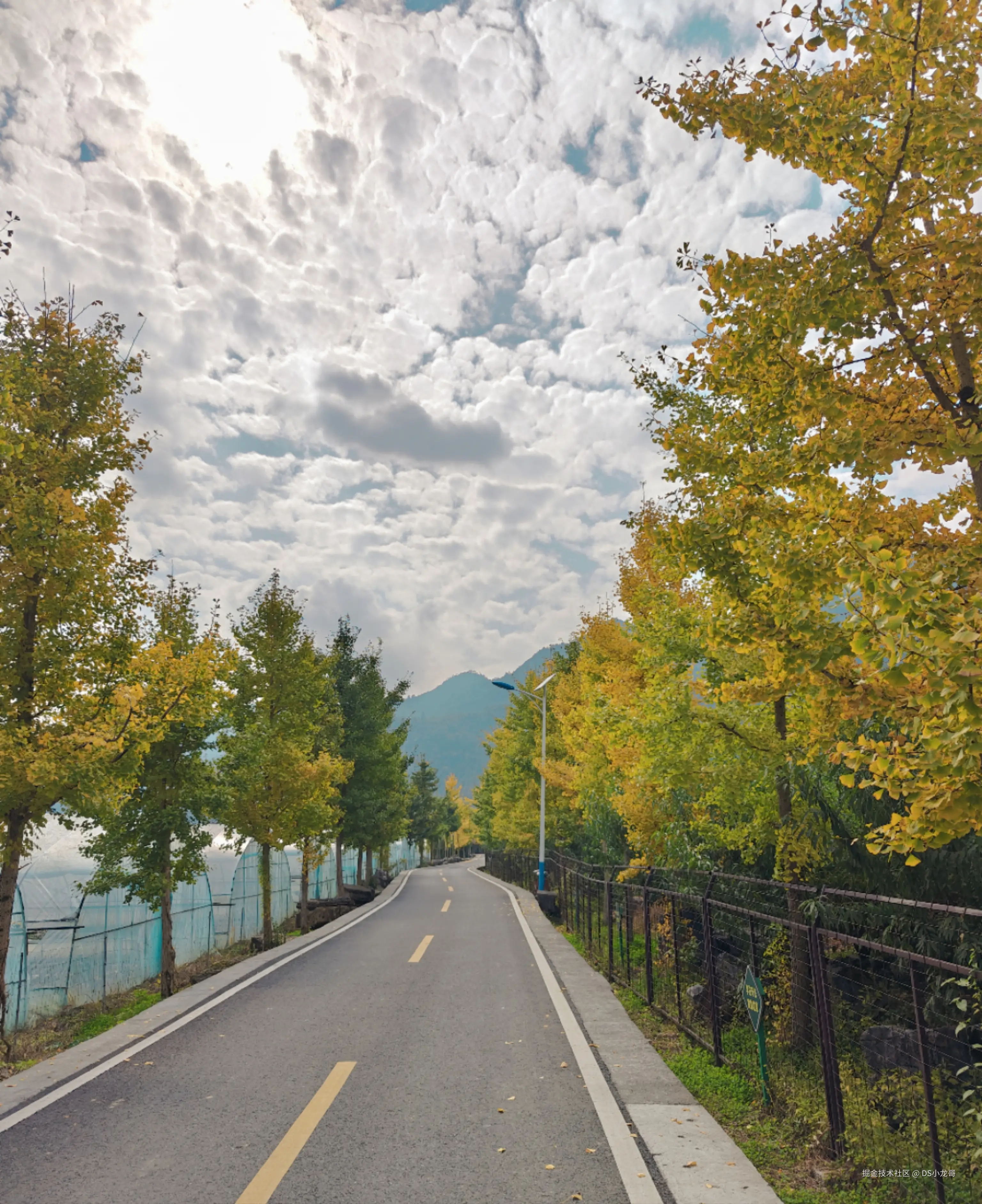 DS小龙哥于2024-11-03 21:39发布的图片