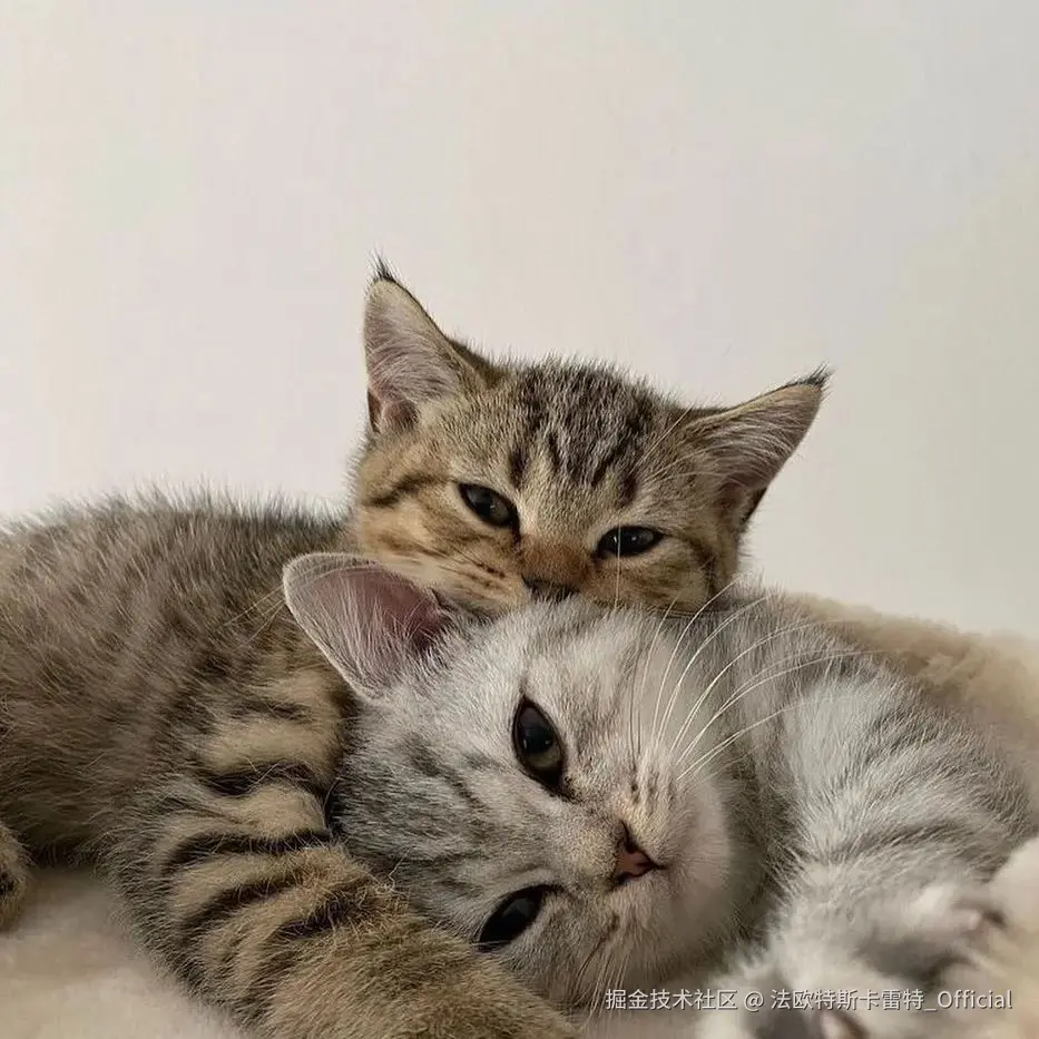 法欧特斯卡雷特_Official于2024-11-22 13:37发布的图片