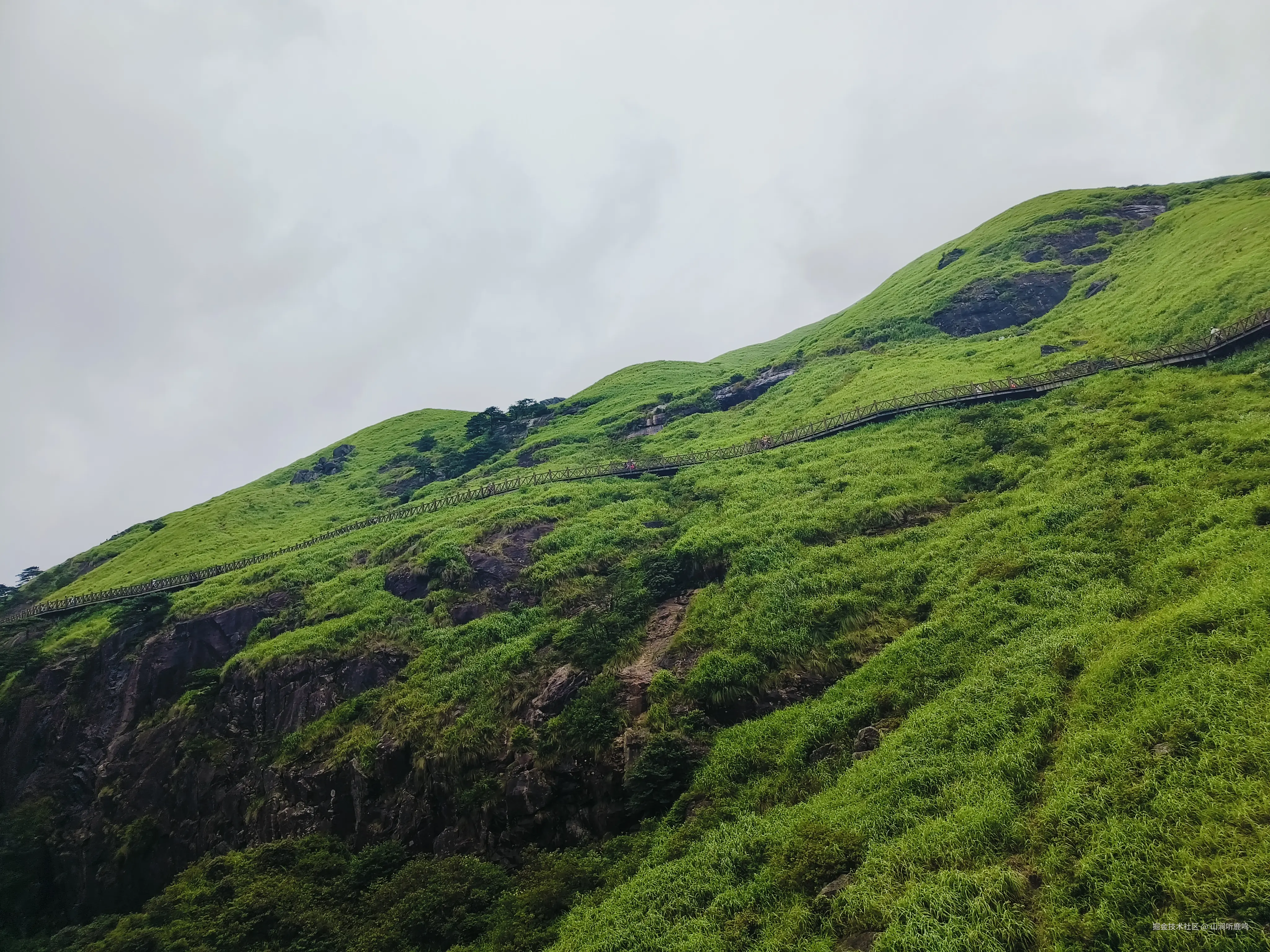 山涧听鹿鸣于2024-08-17 10:35发布的图片