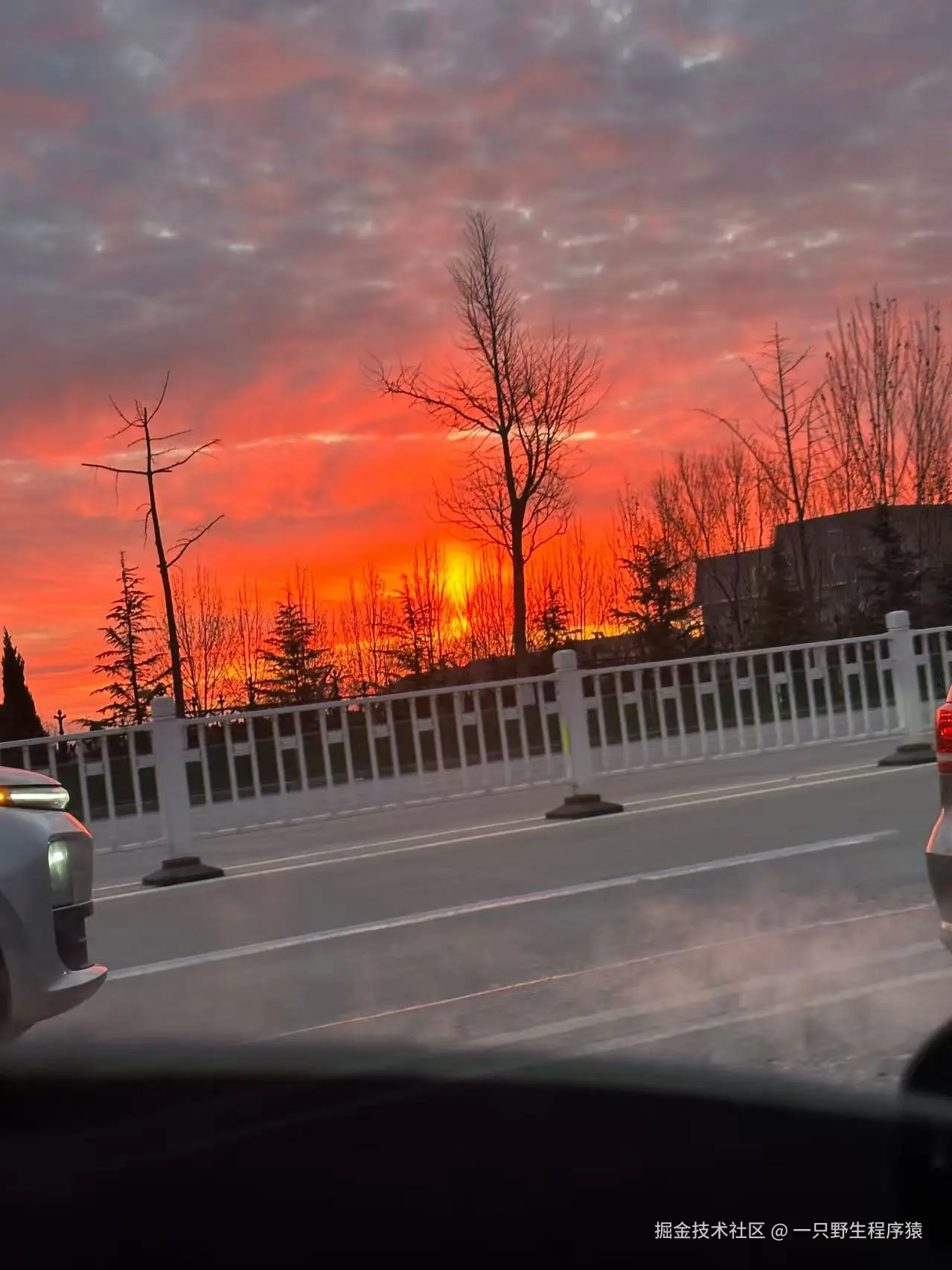 一只野生程序猿于2025-12-22 08:42发布的图片