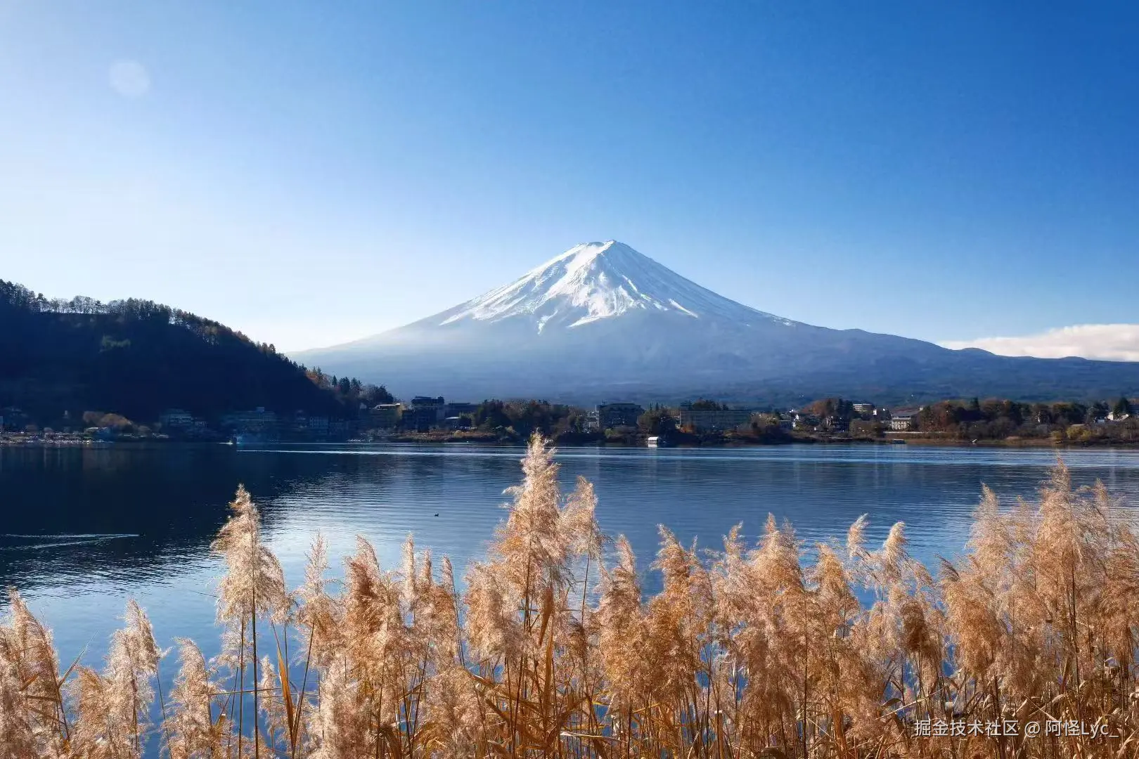 阿怪Lyc_于2025-12-30 10:57发布的图片