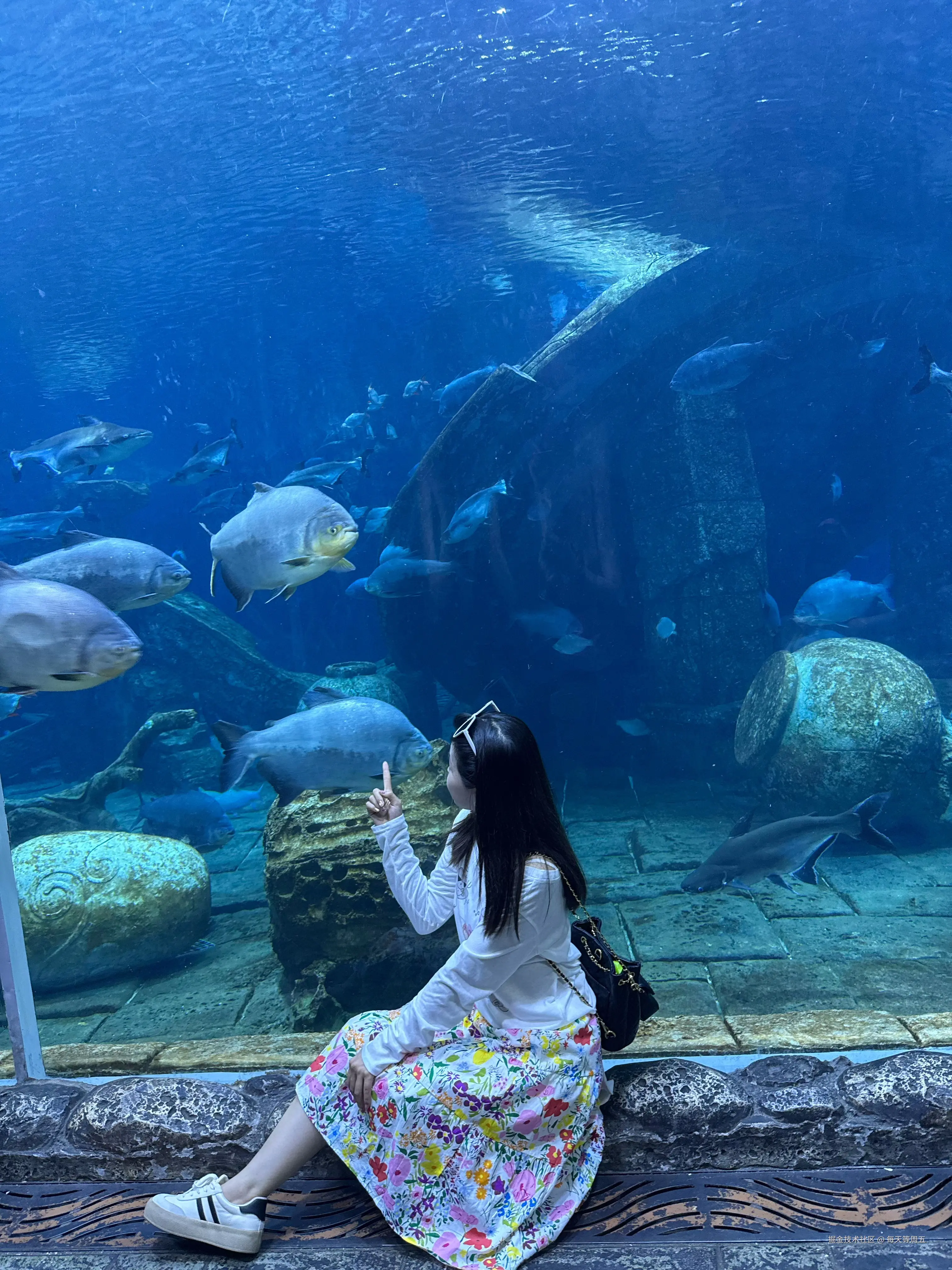 每天等周五于2025-08-25 17:16发布的图片