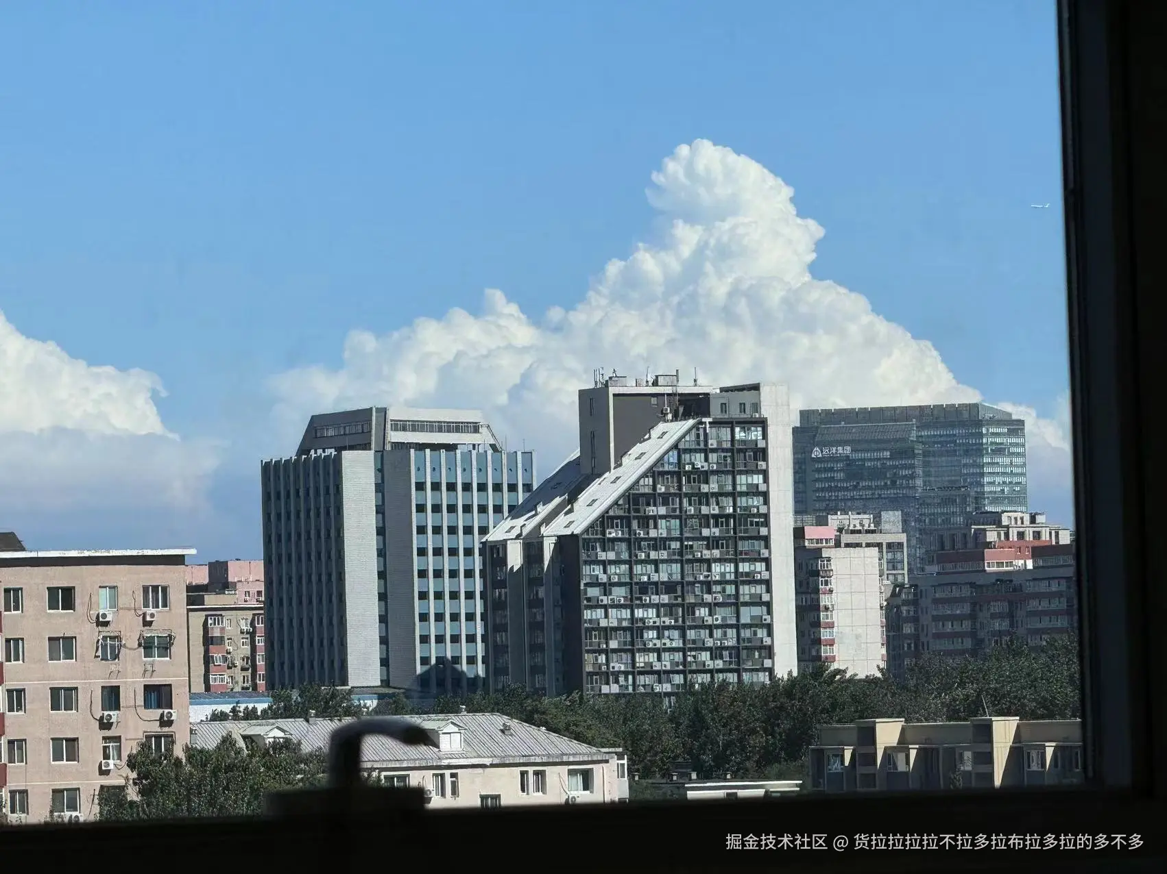 货拉拉拉拉不拉多拉布拉多拉的多不多于2024-08-12 15:09发布的图片