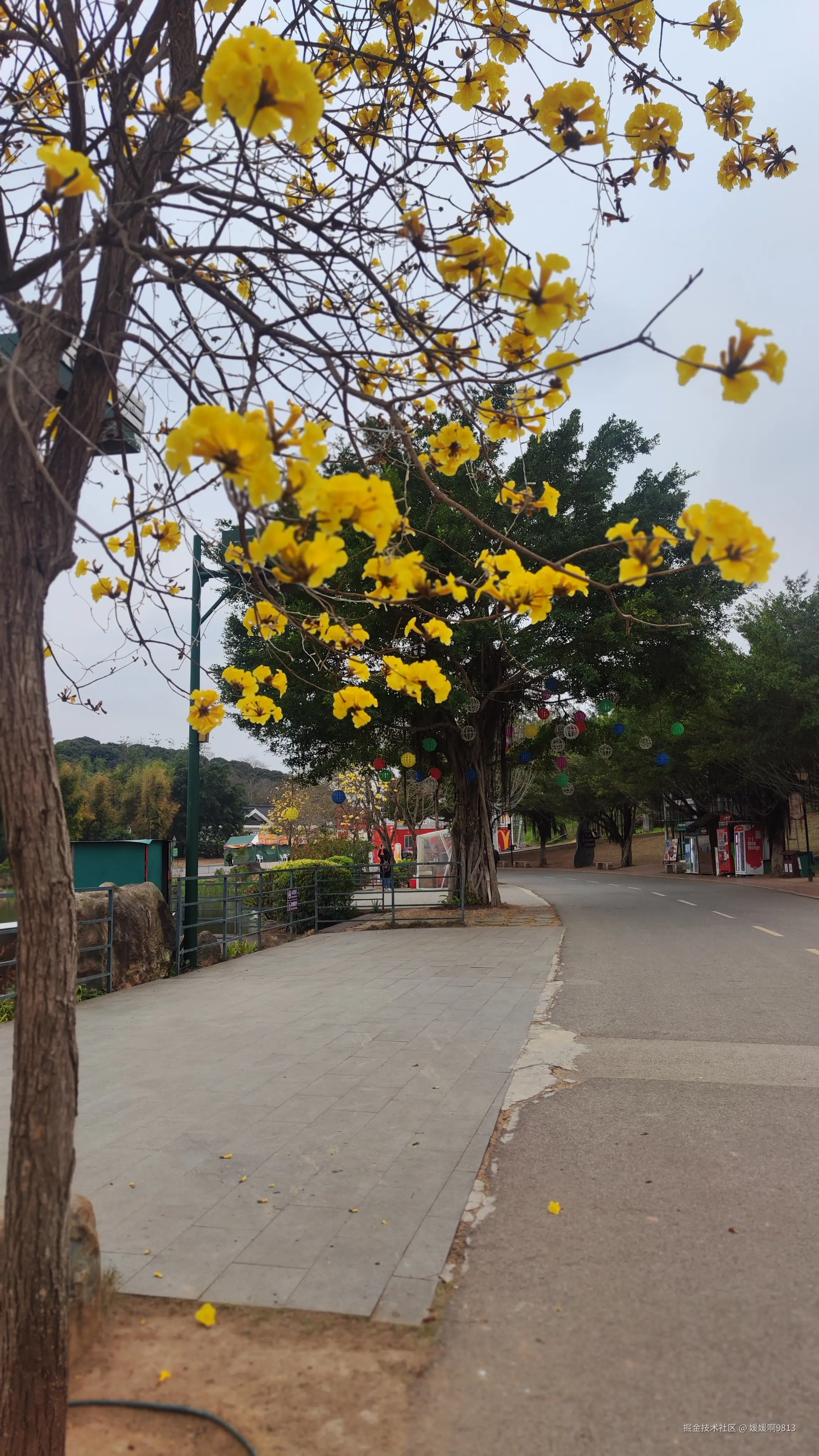 媛媛啊9813于2025-03-09 01:49发布的图片