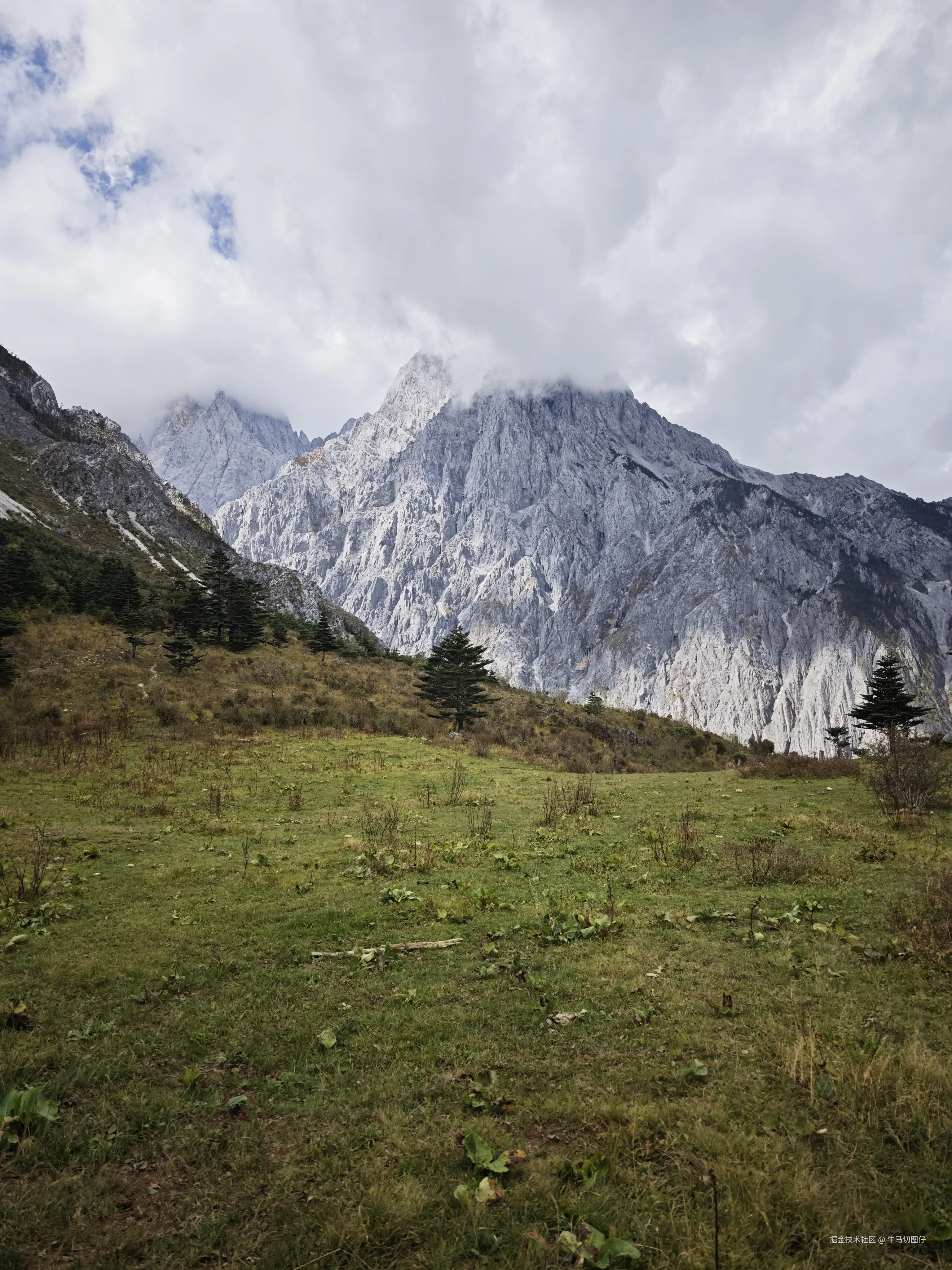 牛马切图仔于2025-10-09 05:51发布的图片