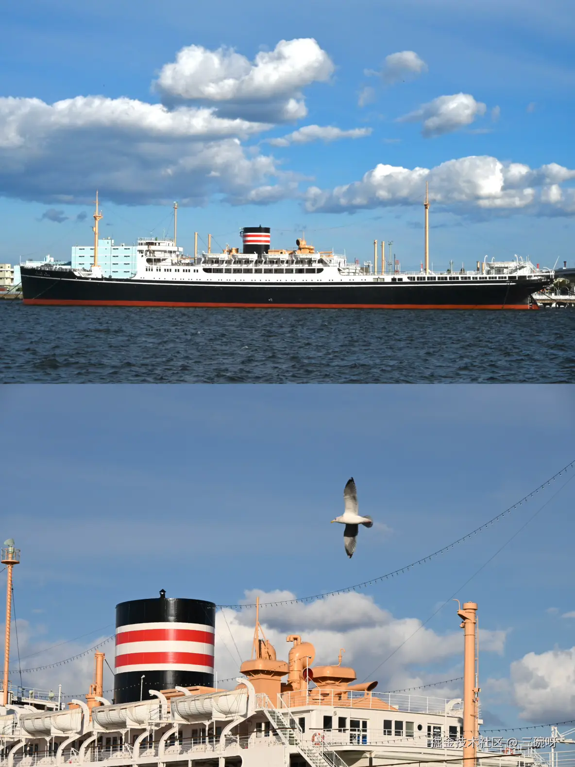 三碗呀于2025-03-25 16:01发布的图片