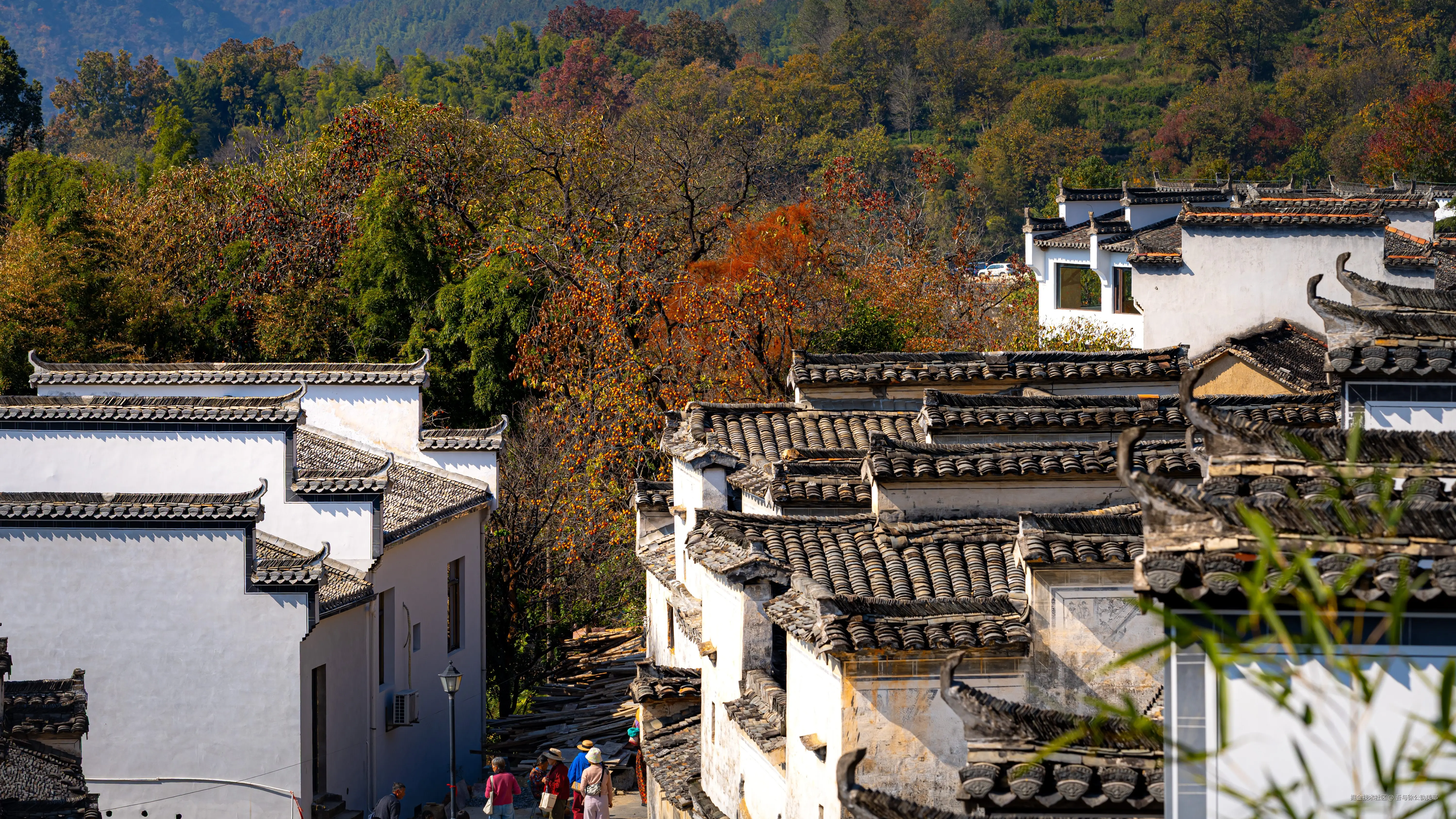 吾与徐公孰美耶于2025-11-18 05:46发布的图片