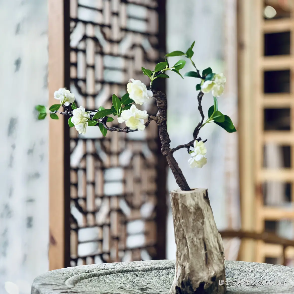 ACoder于2024-07-31 12:32发布的图片