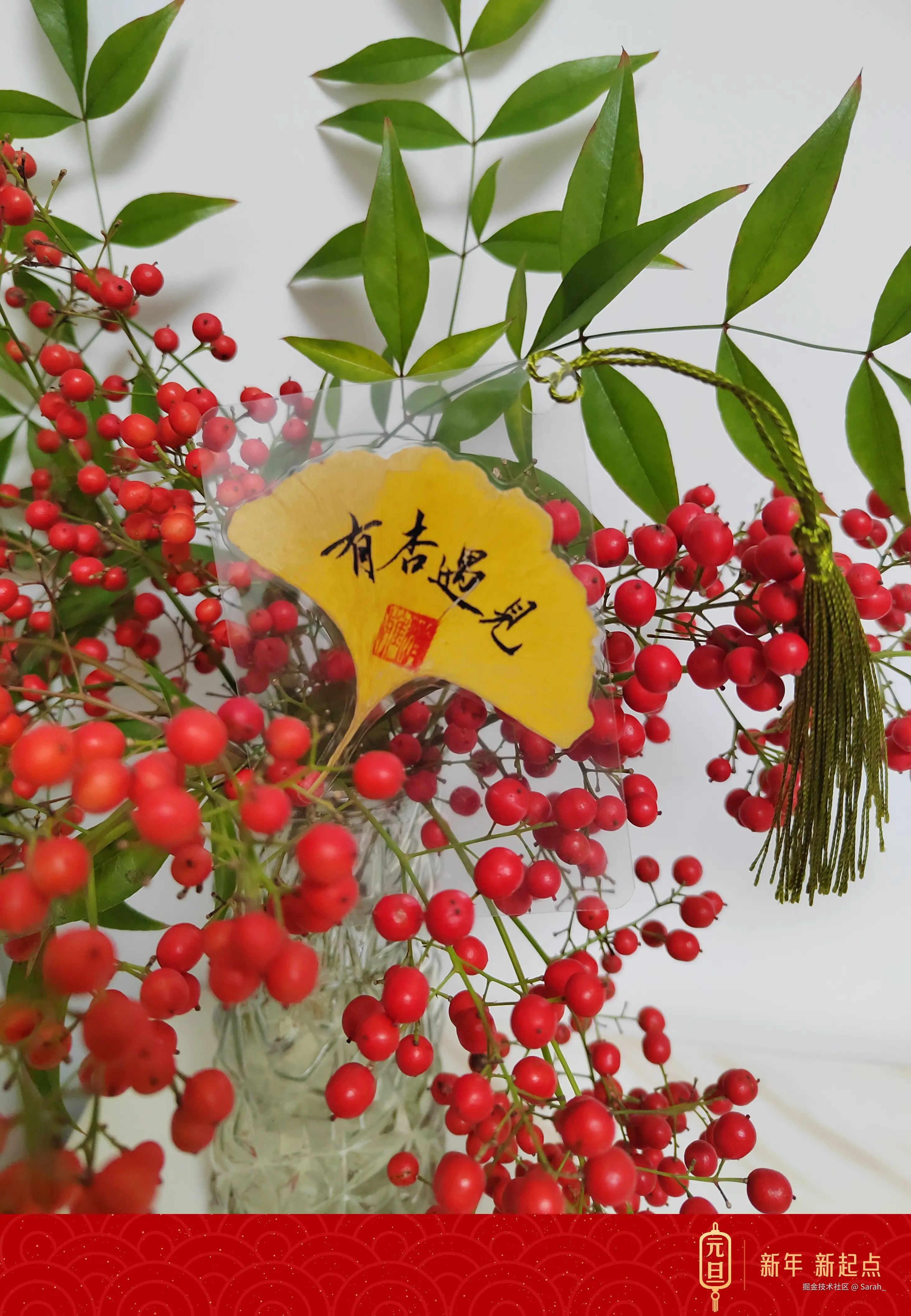 Sarah_于2024-12-31 14:44发布的图片