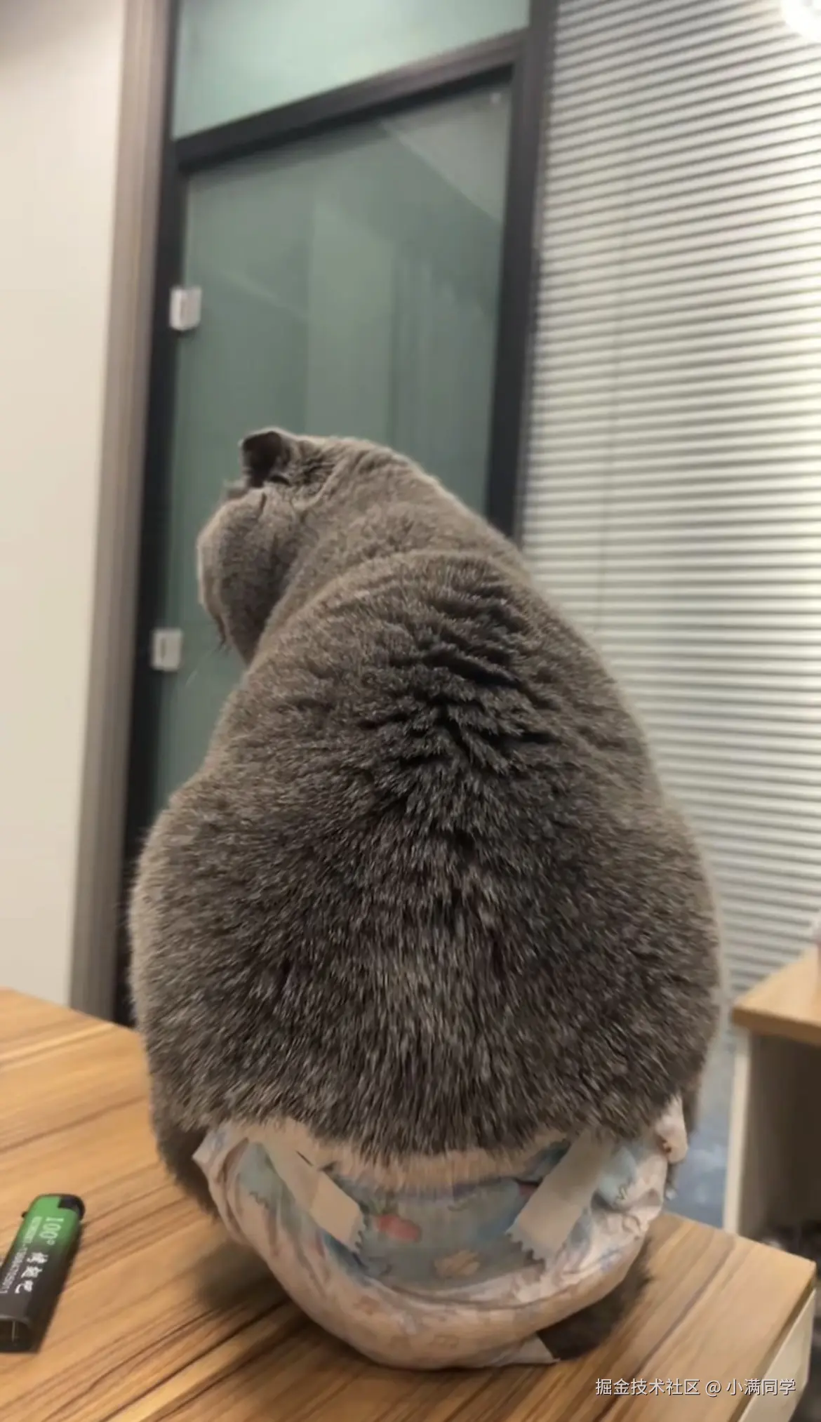 小满同学于2025-12-07 14:36发布的图片