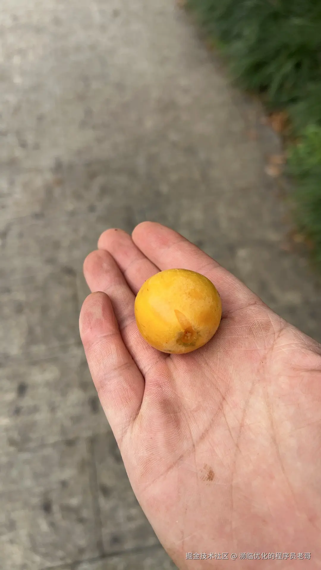 濒临优化的程序员老哥于2025-05-06 10:30发布的图片