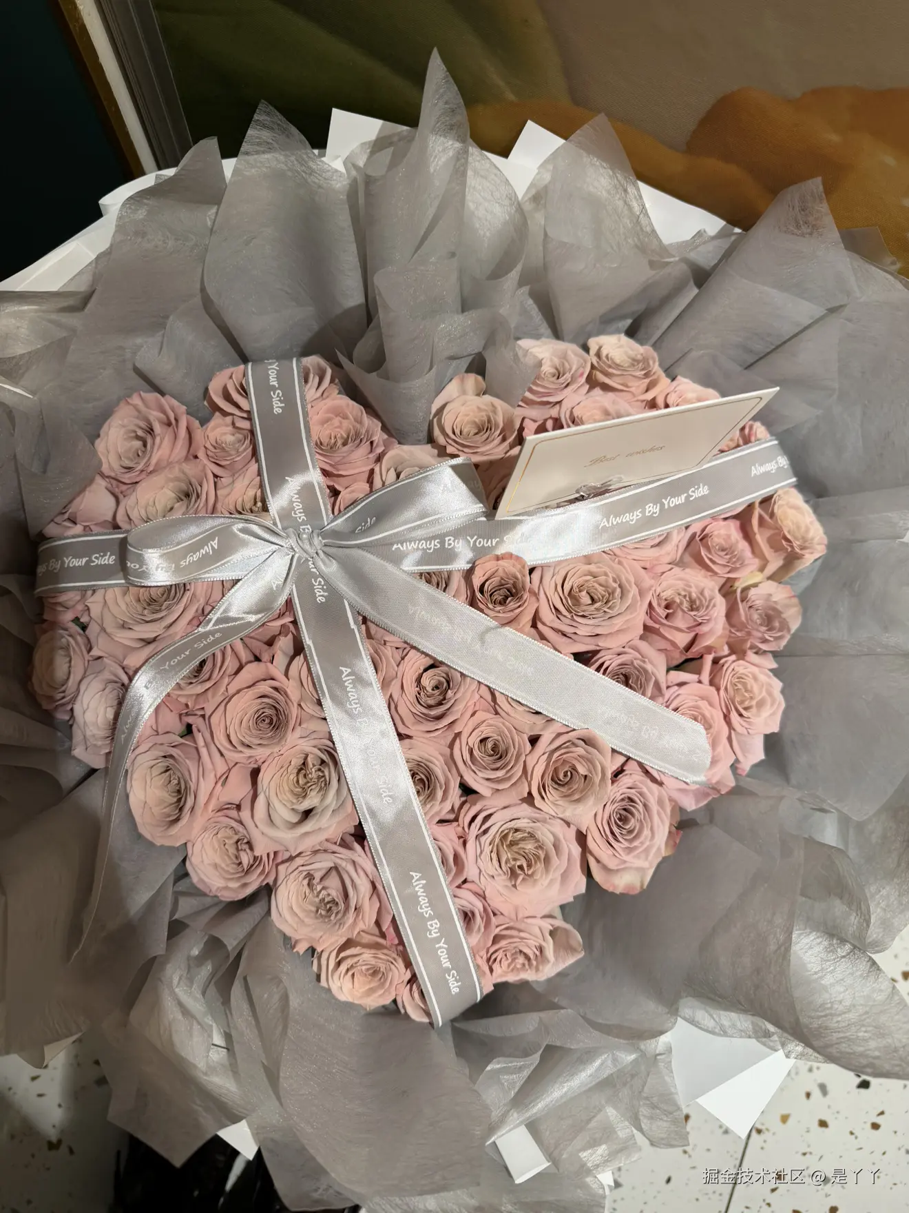 是丫丫于2026-01-26 09:12发布的图片