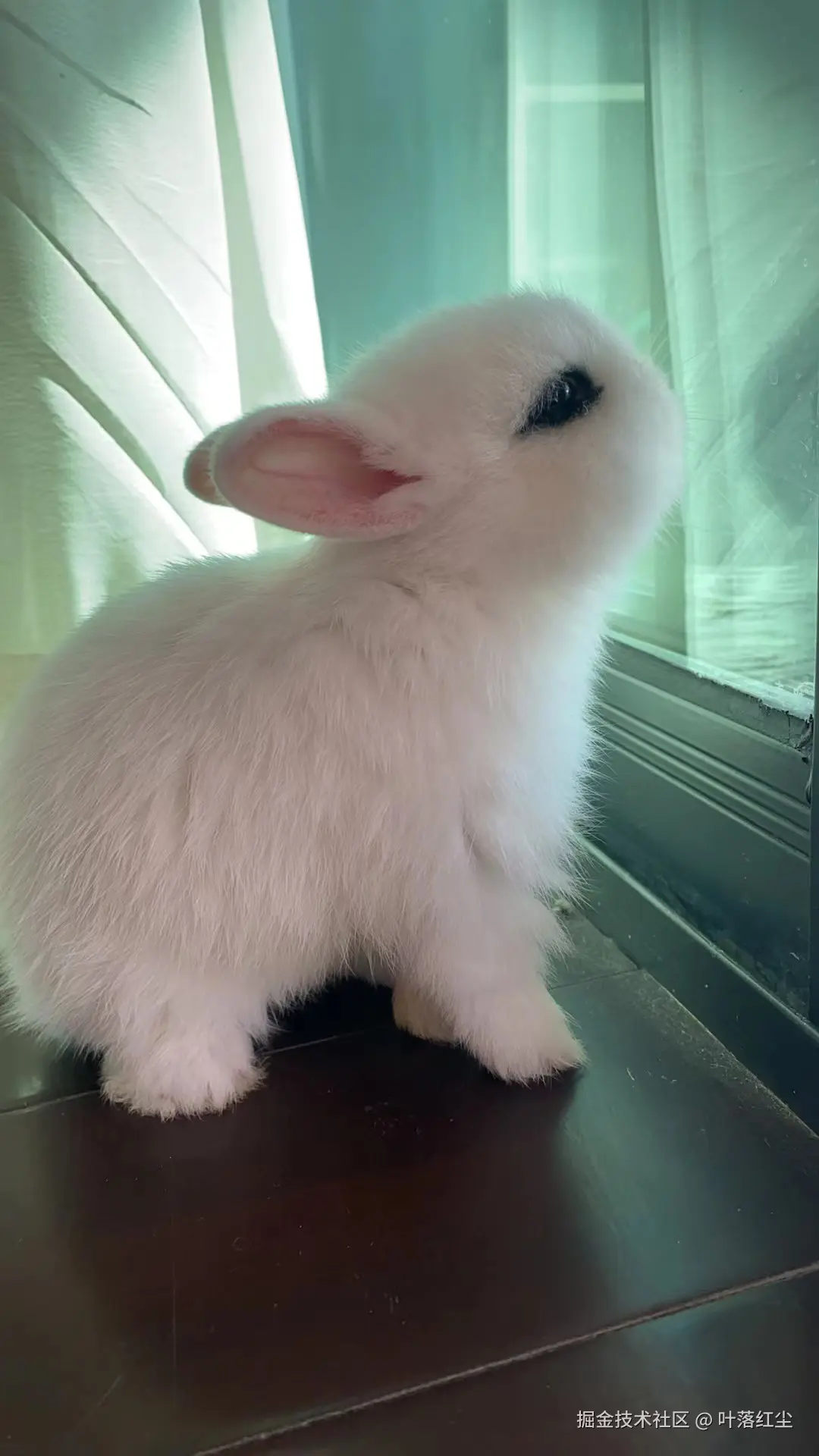 叶落红尘于2024-11-01 09:53发布的图片