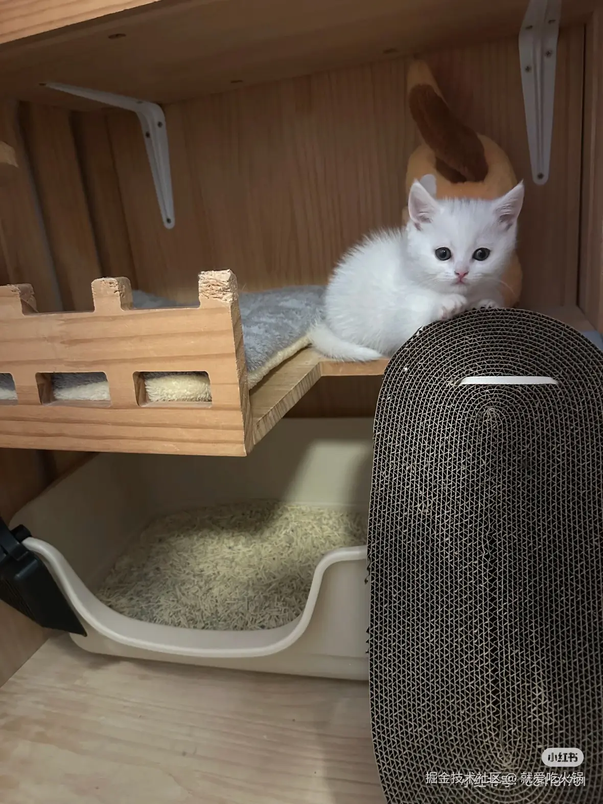 就爱吃火锅于2025-02-17 02:04发布的图片