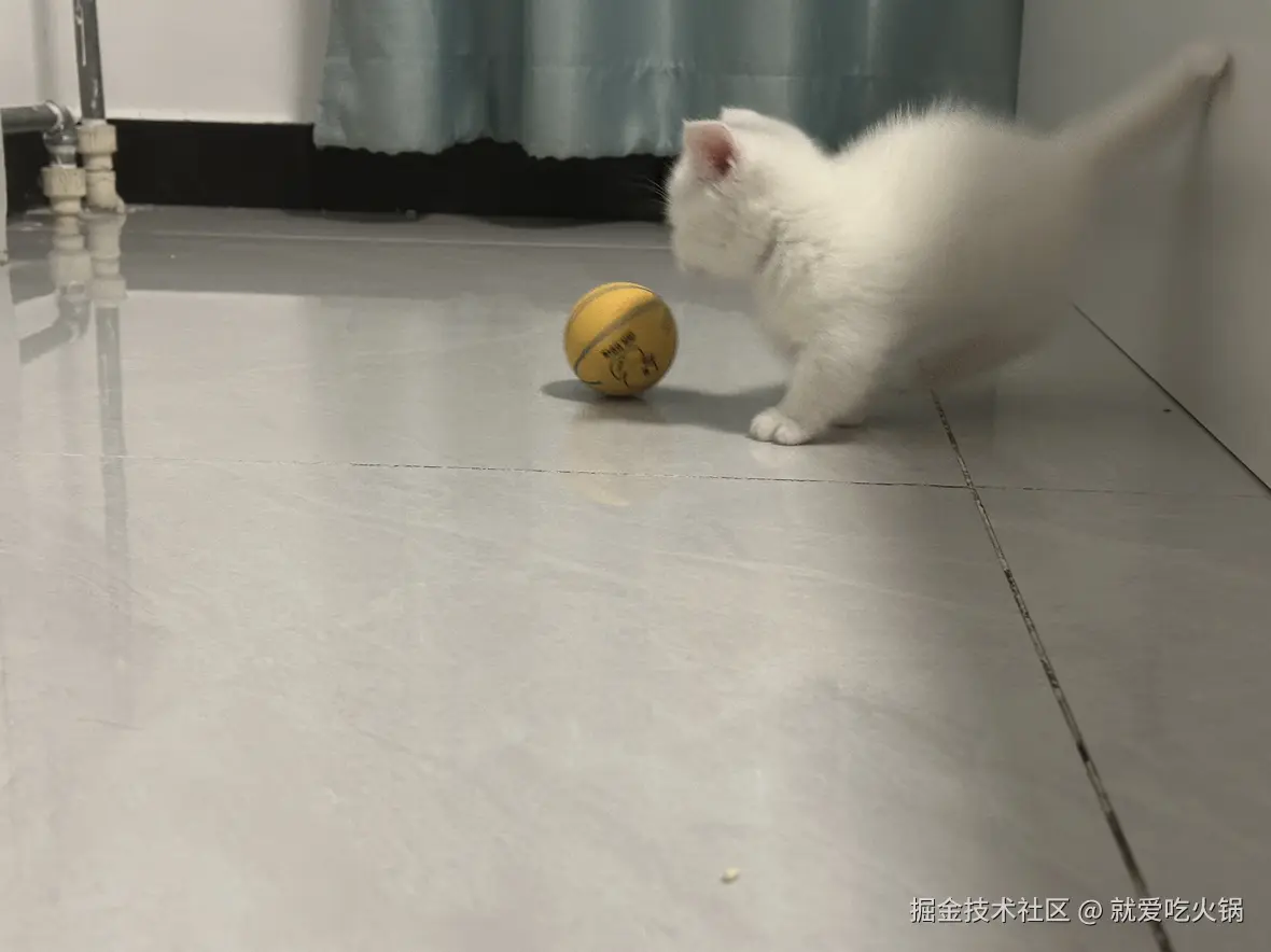 就爱吃火锅于2025-02-19 09:30发布的图片