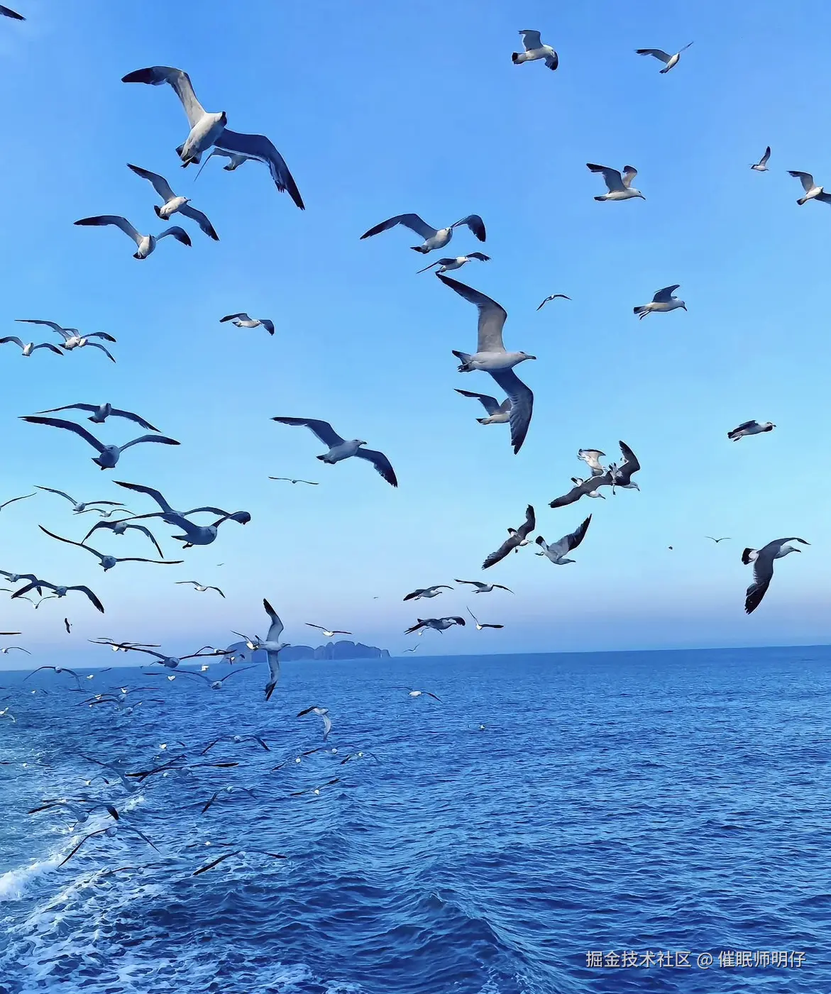 催眠师明仔于2025-12-11 12:57发布的图片