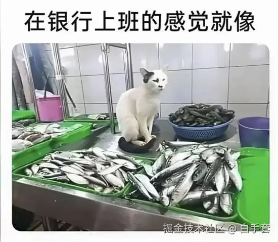 白手套于2026-01-13 15:40发布的图片