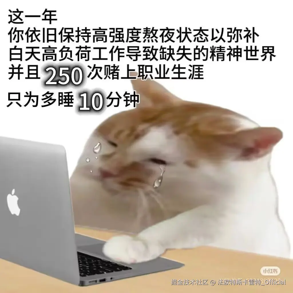 法欧特斯卡雷特_Official于2024-12-11 09:30发布的图片