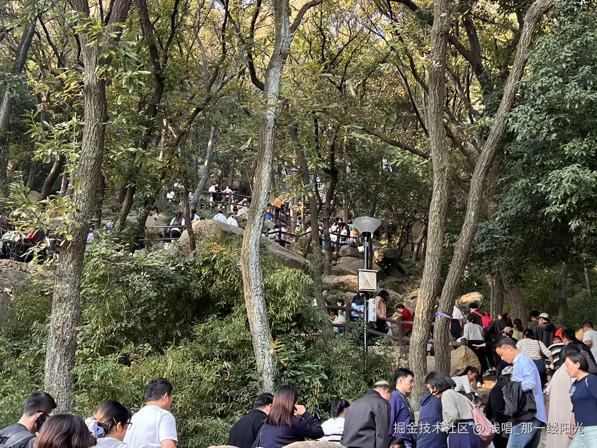 浅唱_那一缕阳光于2025-11-18 10:05发布的图片