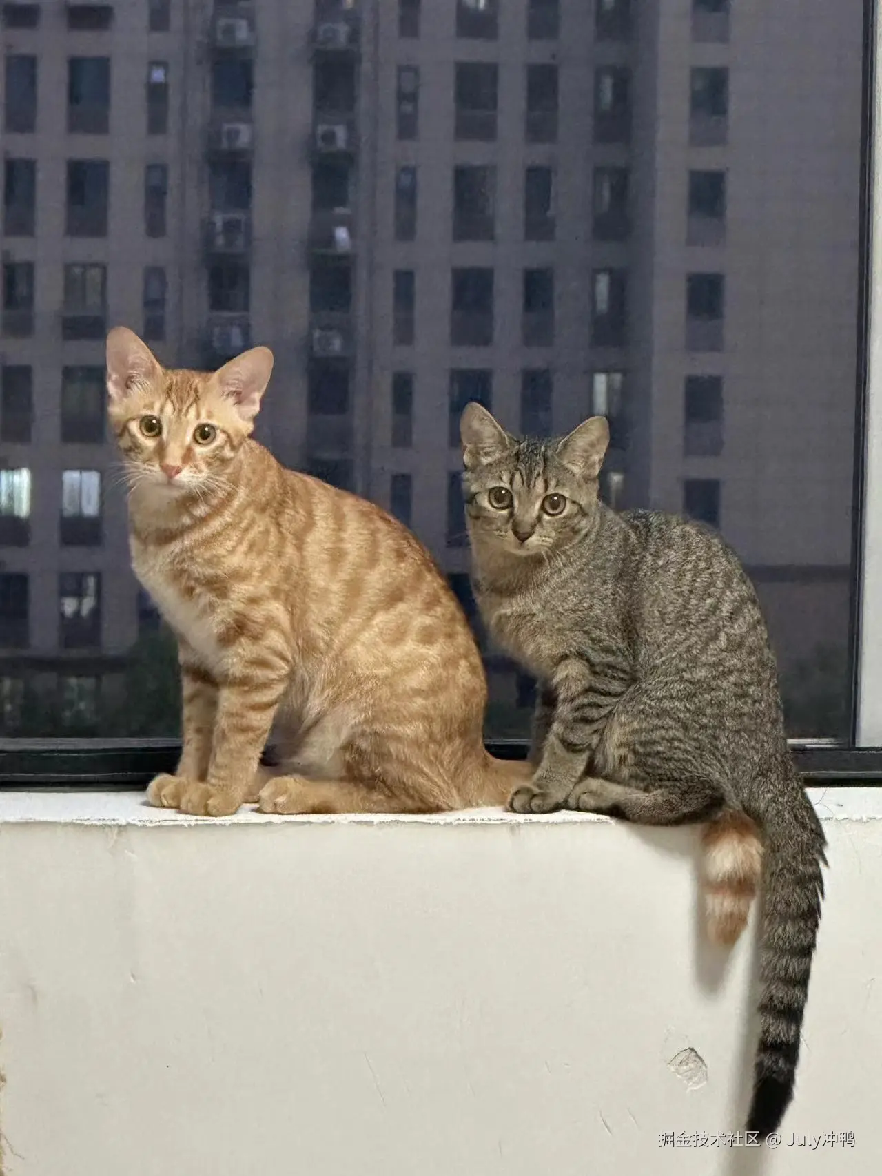 July冲鸭于2024-09-14 11:19发布的图片