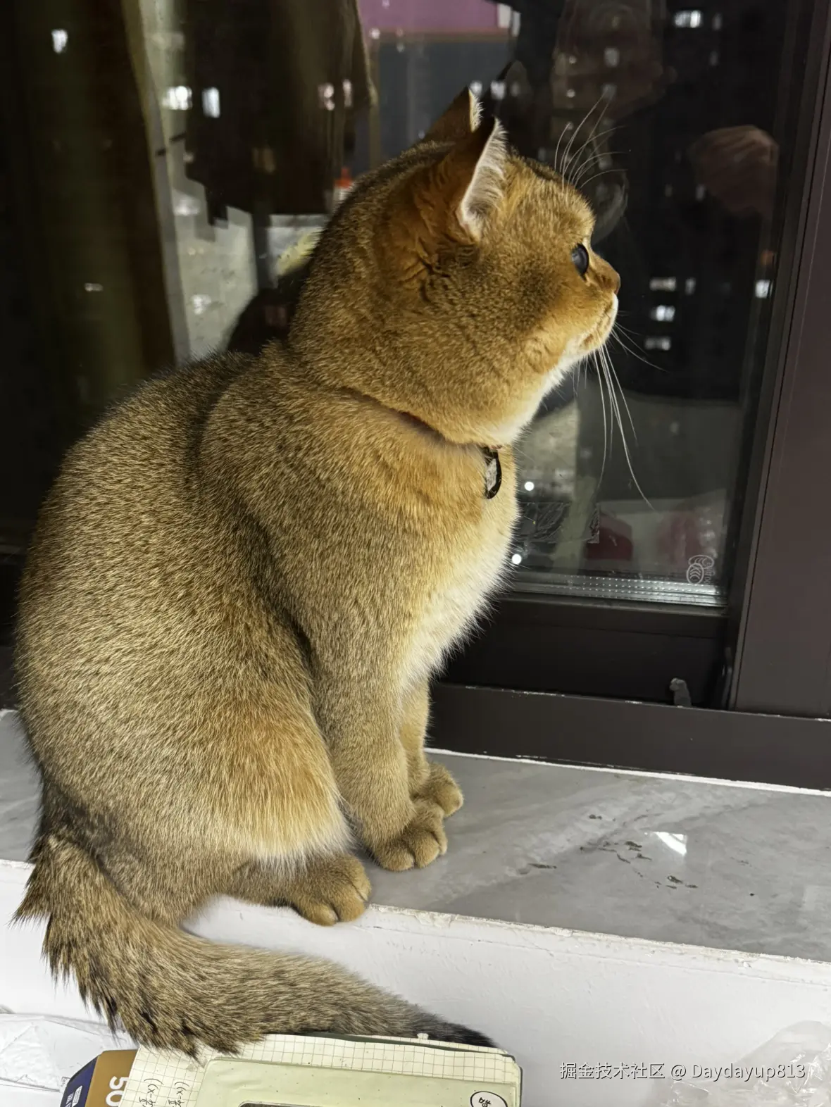 Daydayup813于2025-02-17 11:27发布的图片