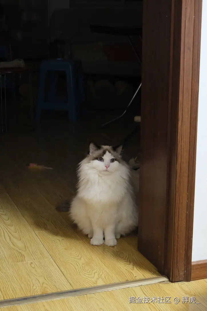 胖虎_于2024-10-22 10:09发布的图片