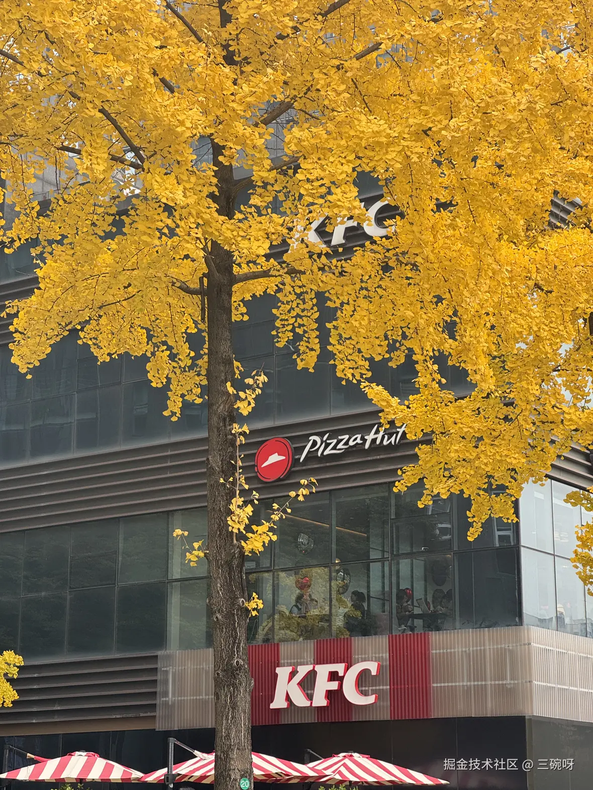 三碗呀于2024-12-05 15:39发布的图片