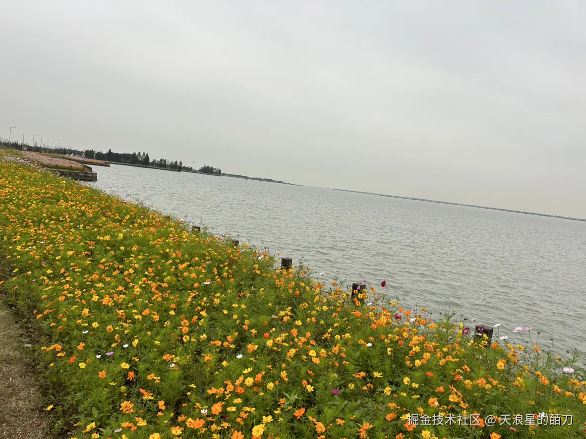 天浪星的皕刀于2024-11-21 07:12发布的图片