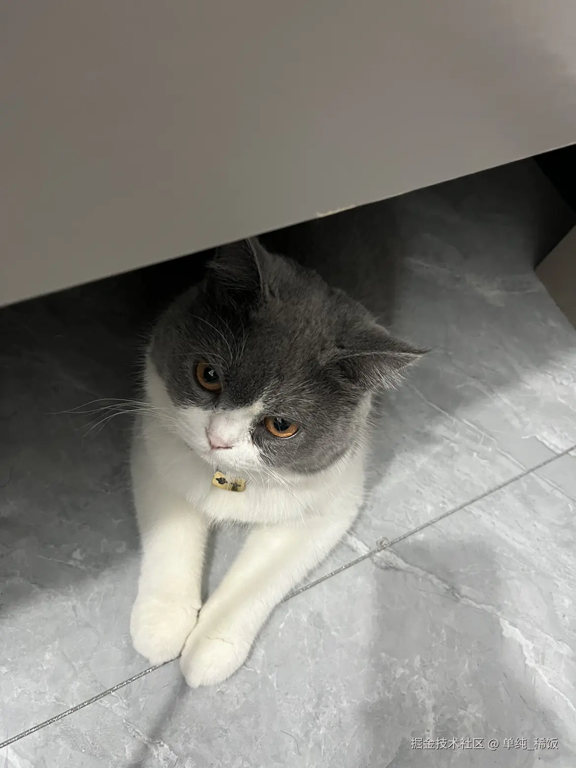 单纯_稀饭于2024-08-09 07:32发布的图片