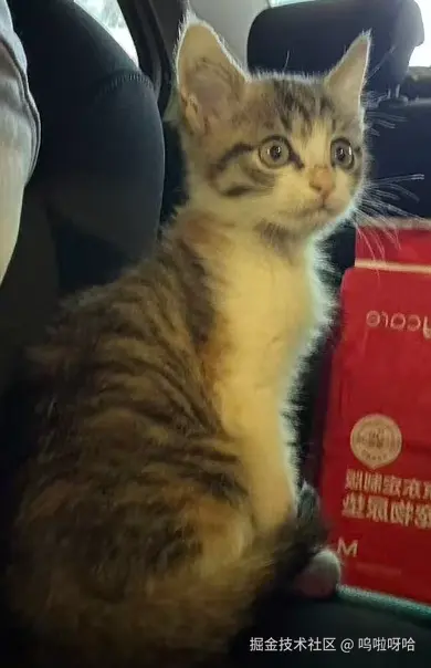 呜啦呀哈于2025-11-17 15:59发布的图片