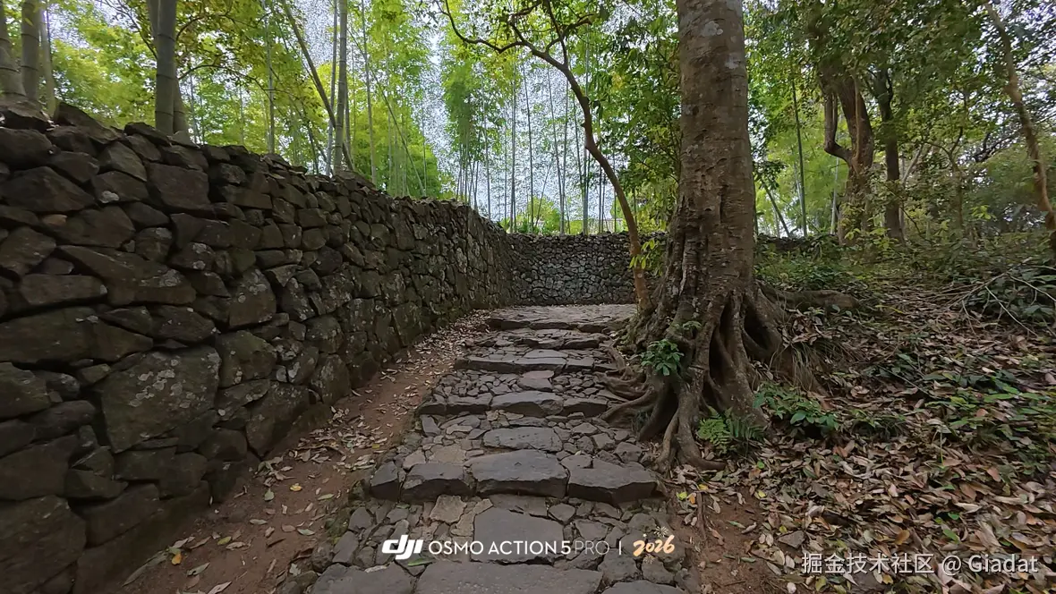 Giadat于2026-01-21 10:00发布的图片