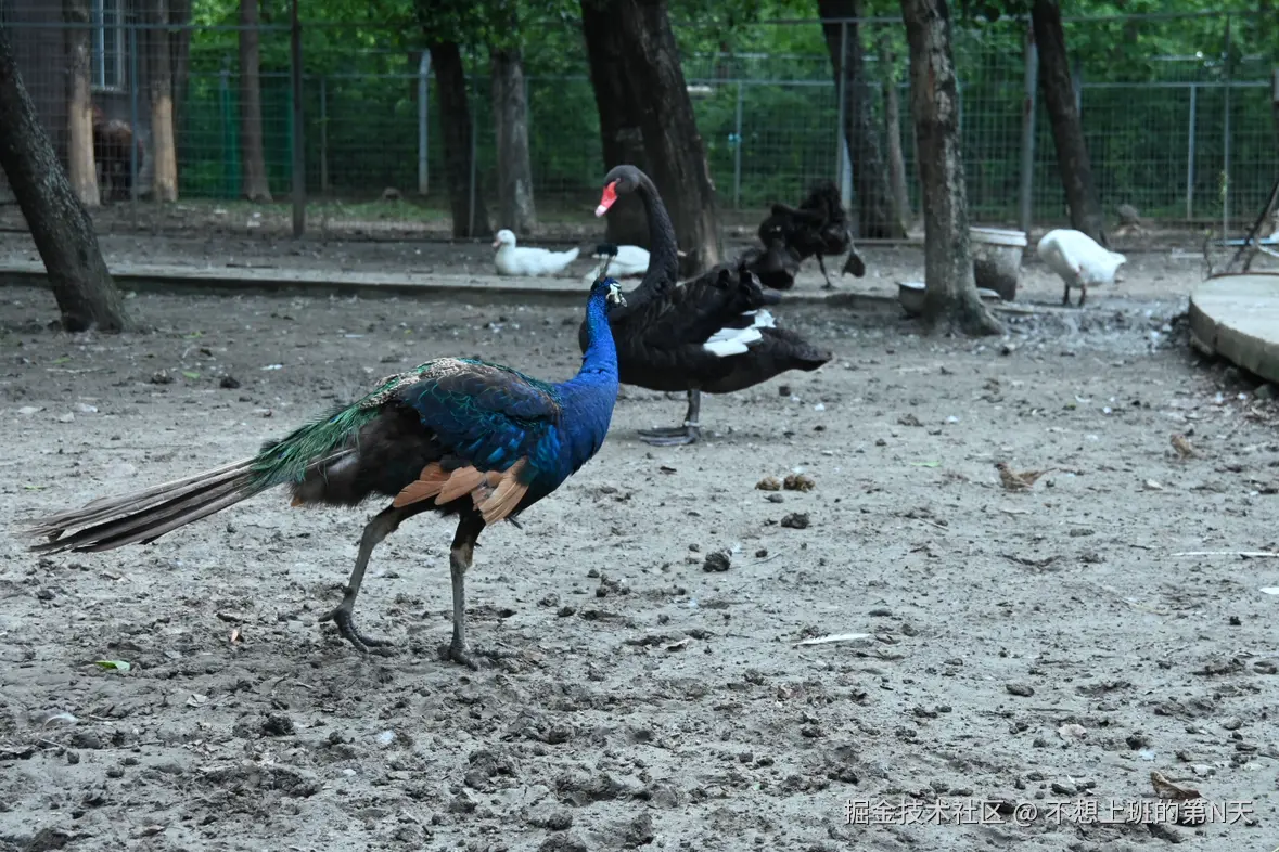 不想上班的第N天于2025-07-21 10:37发布的图片