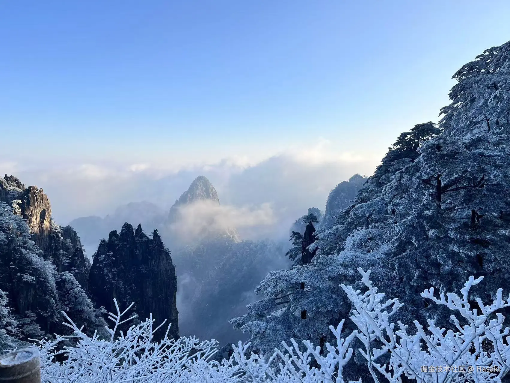 Hasaki于2024-12-16 02:21发布的图片