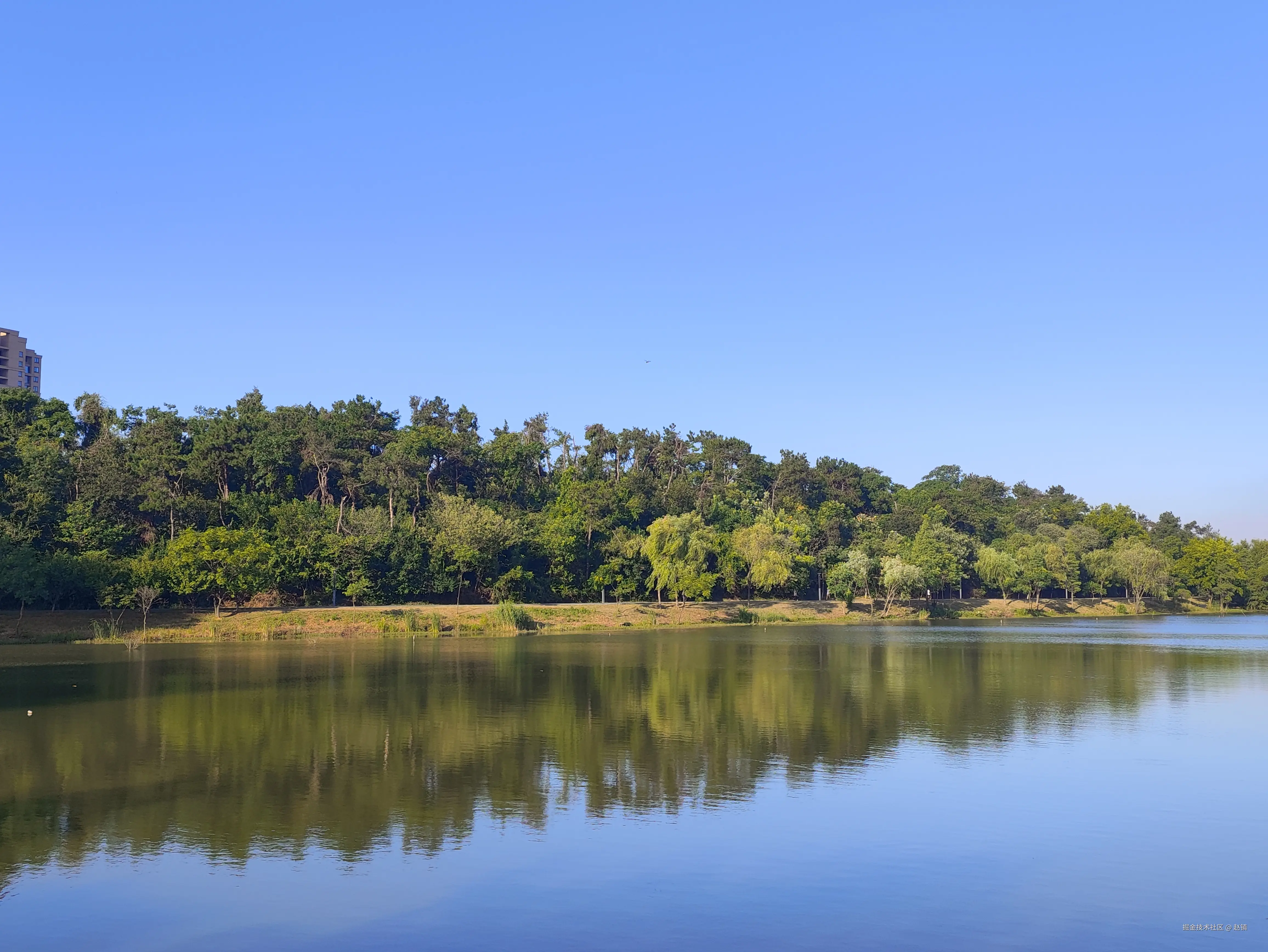 赵镇于2024-07-26 10:55发布的图片