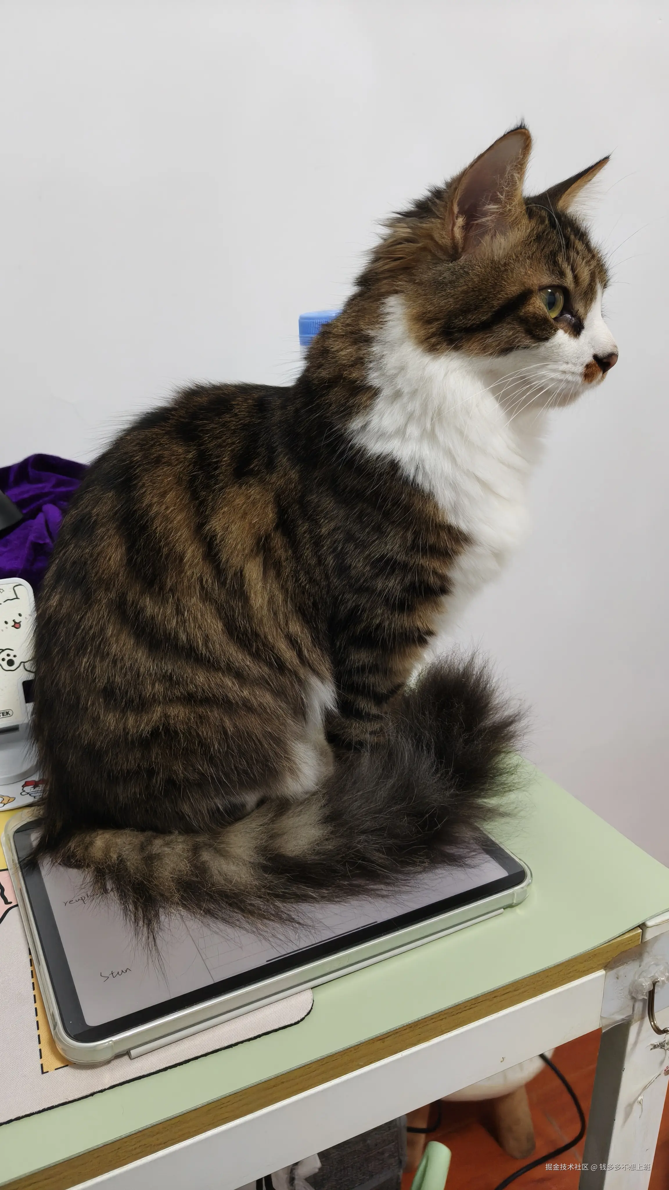 钱多多不想上班于2025-12-16 16:54发布的图片