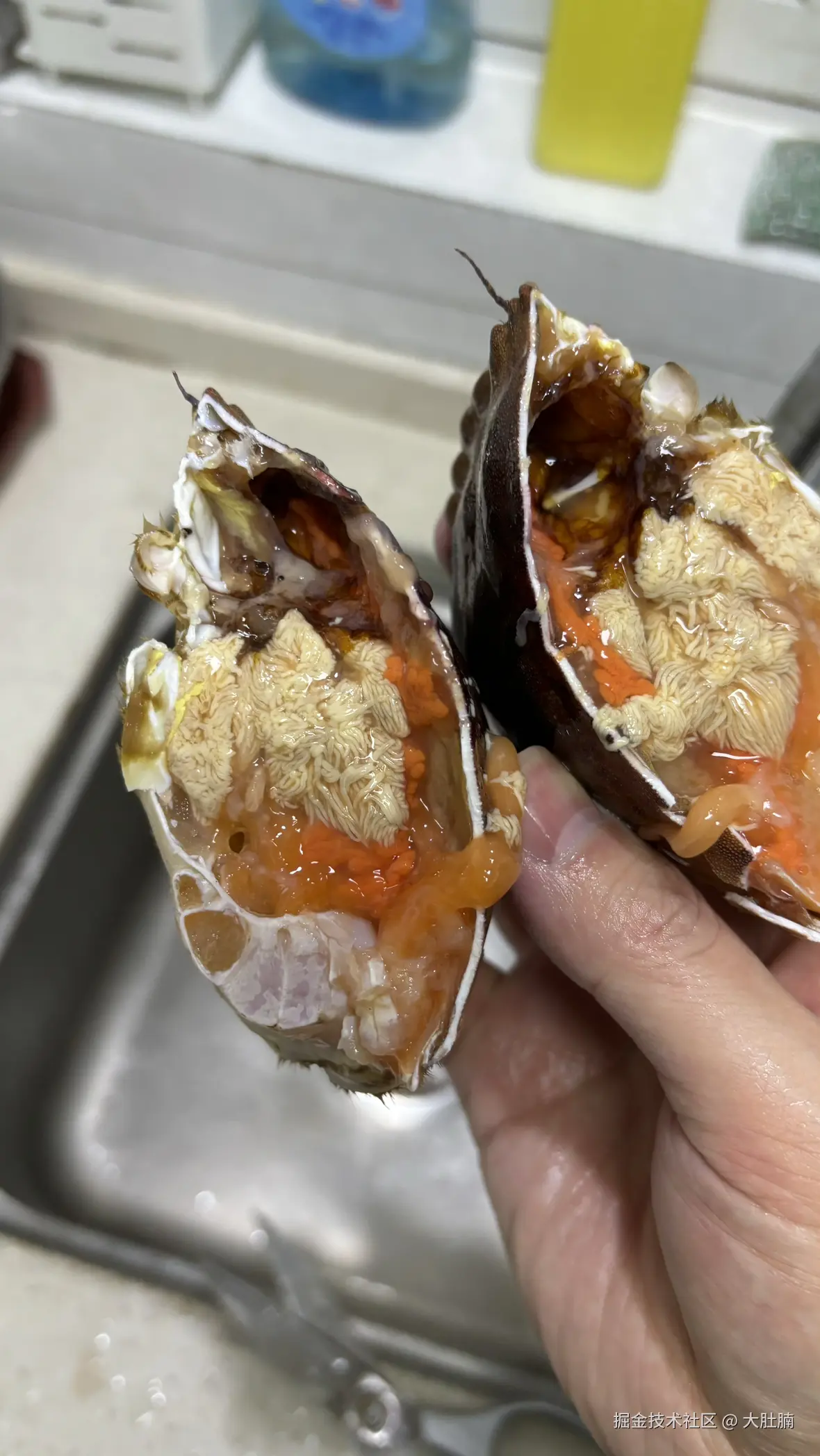 大肚腩于2025-01-12 11:35发布的图片