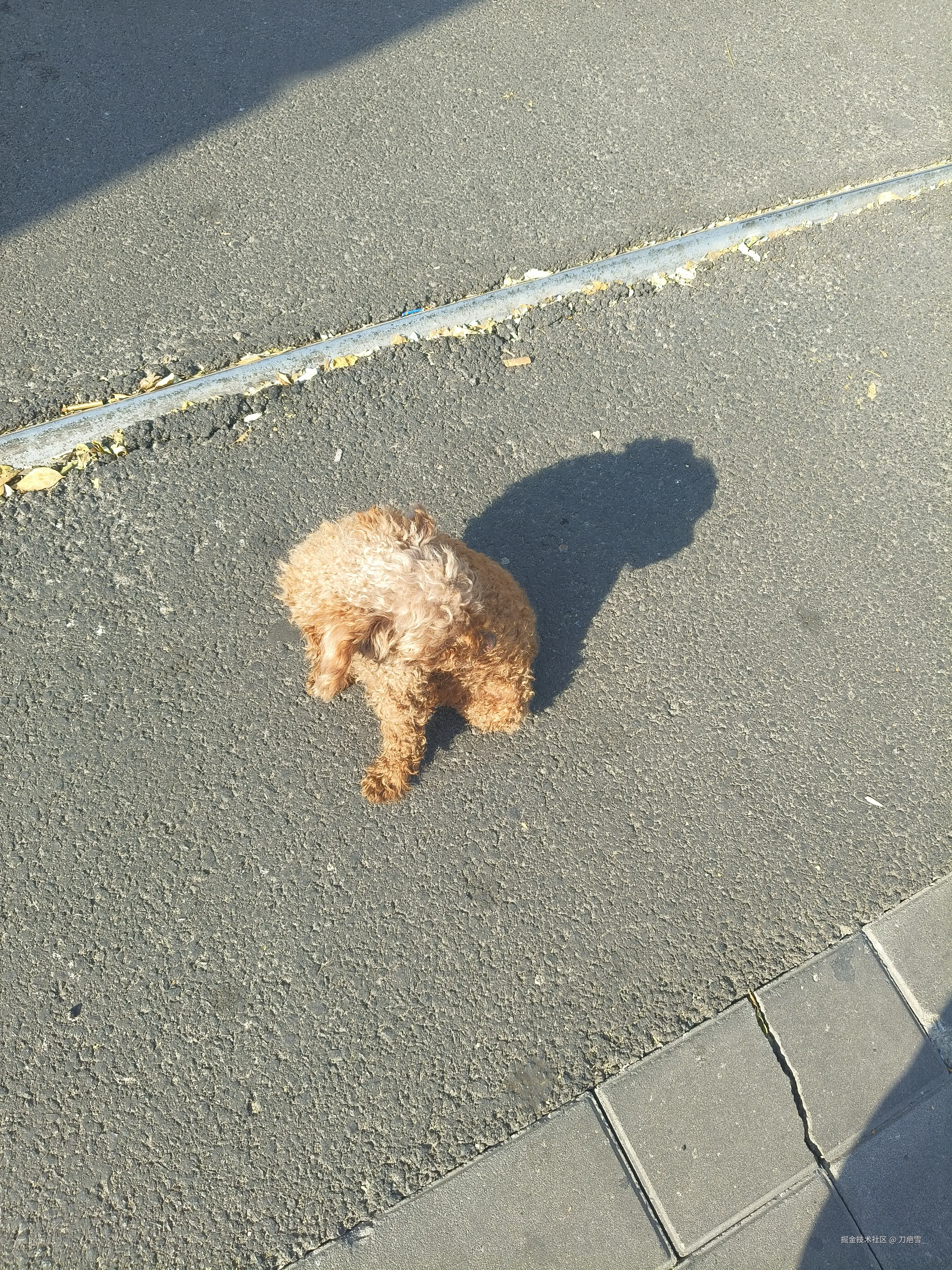 刀疤雪_于2025-11-04 11:11发布的图片