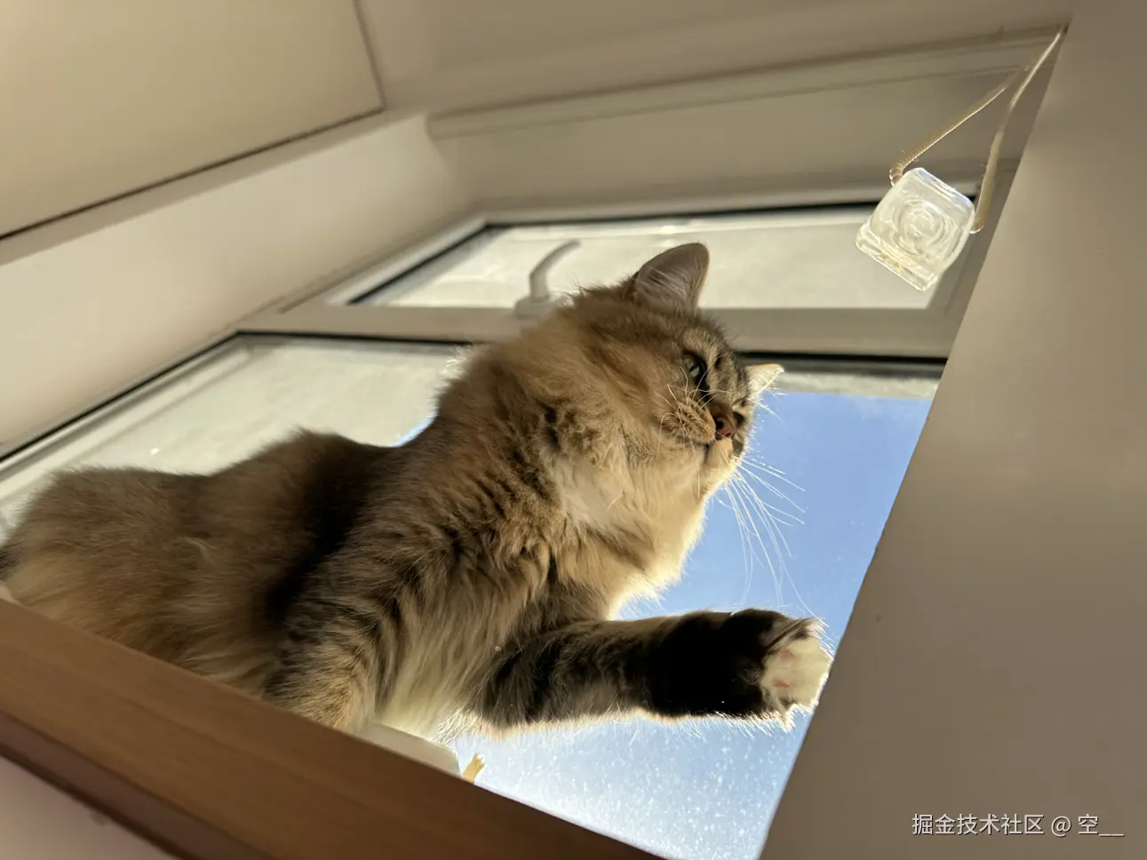 空__于2024-11-29 11:43发布的图片