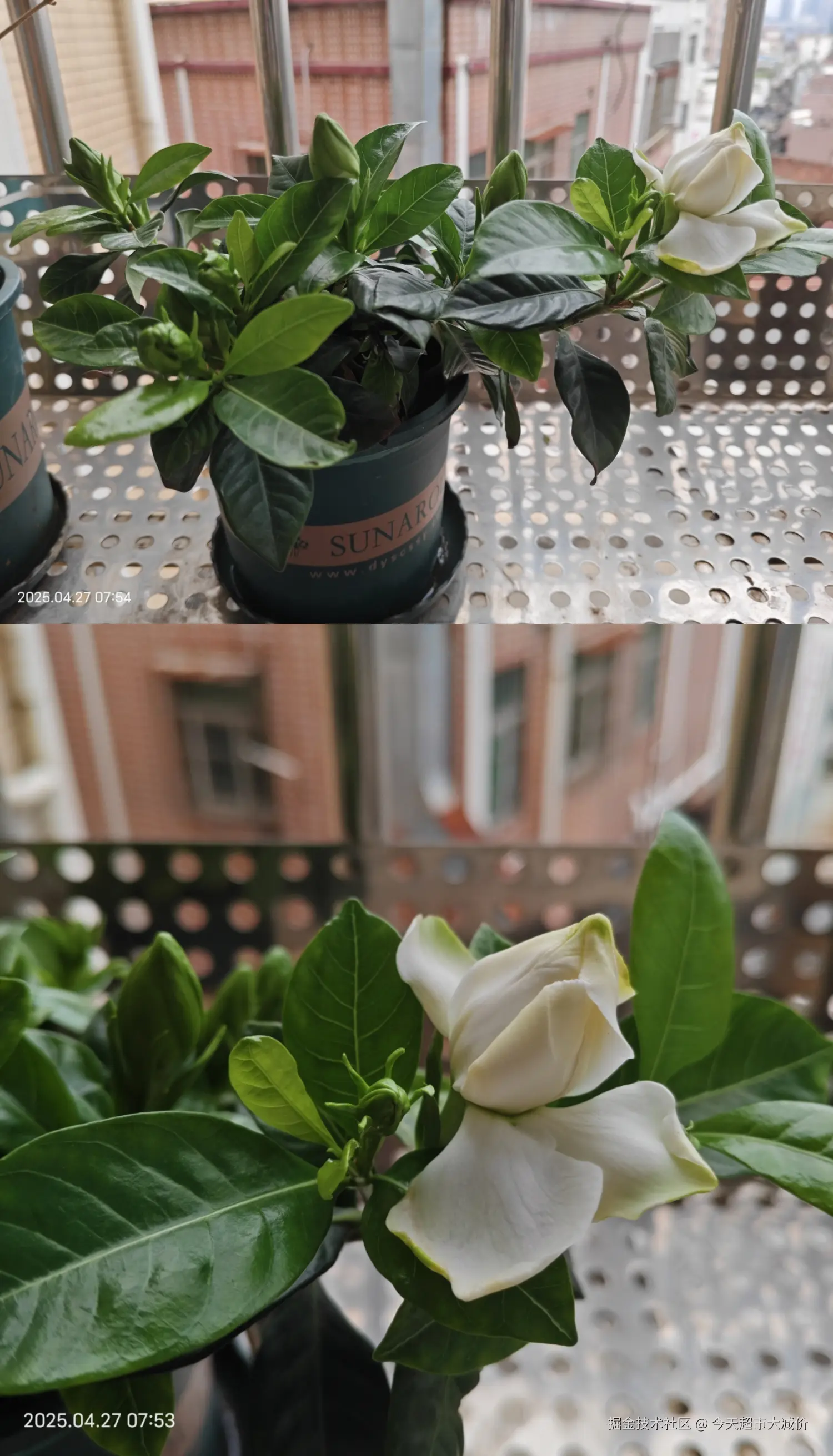 今天超市大减价于2025-04-28 10:30发布的图片