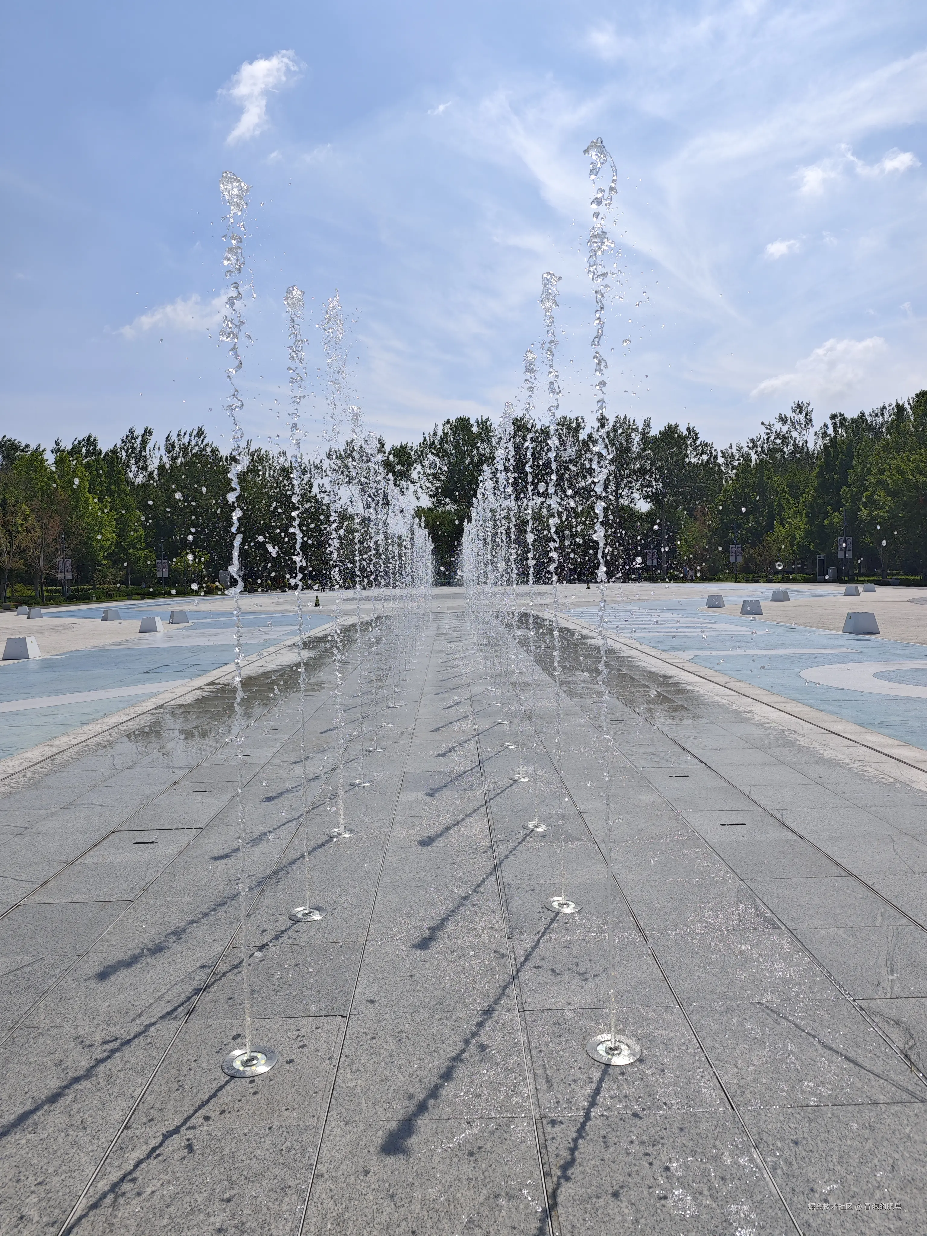 冒泡的肥皂于2025-07-05 10:17发布的图片