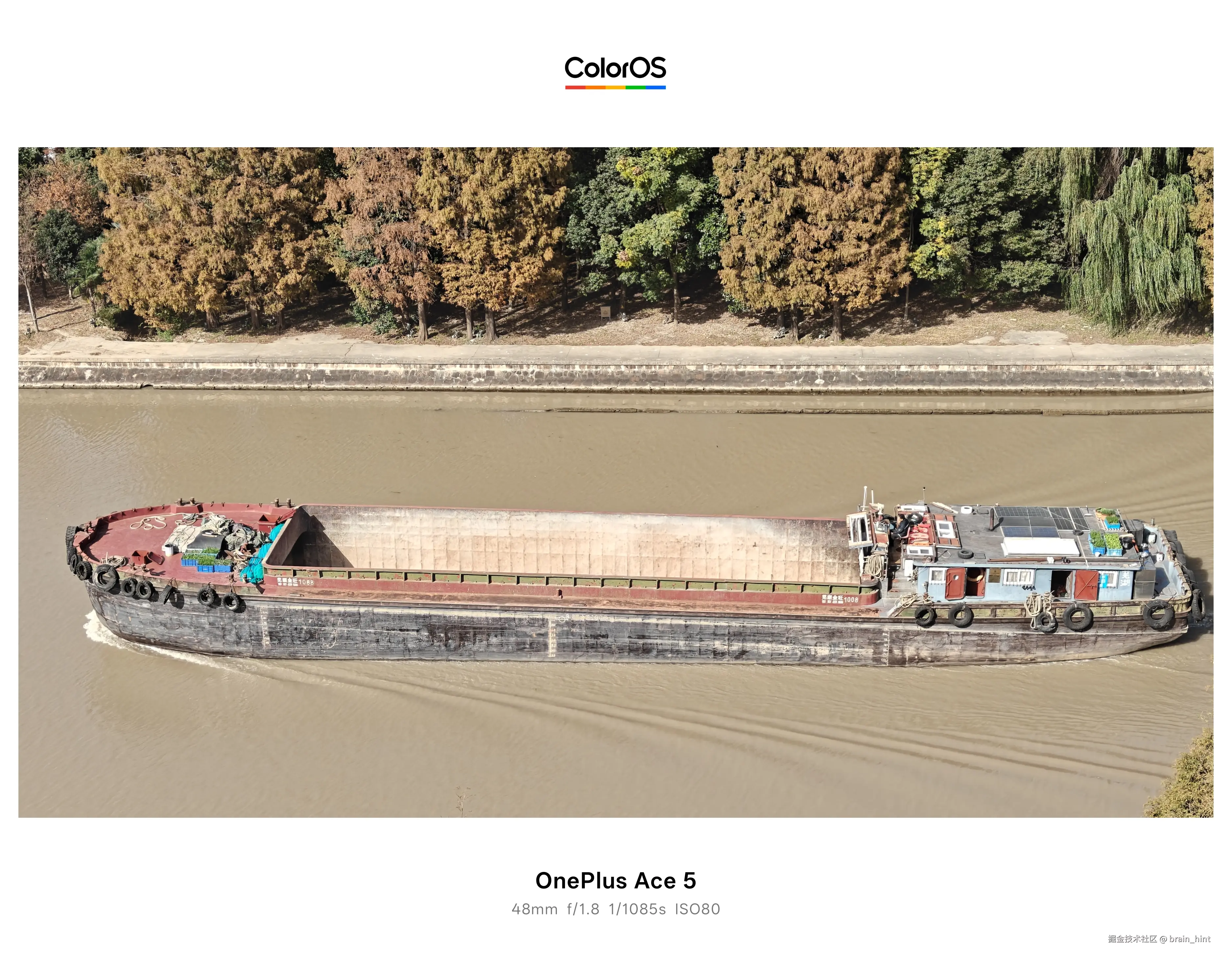 brain_hint于2025-11-28 13:11发布的图片